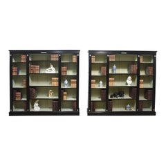 Pareja de librerías abiertas Wedgwood ebonizadas