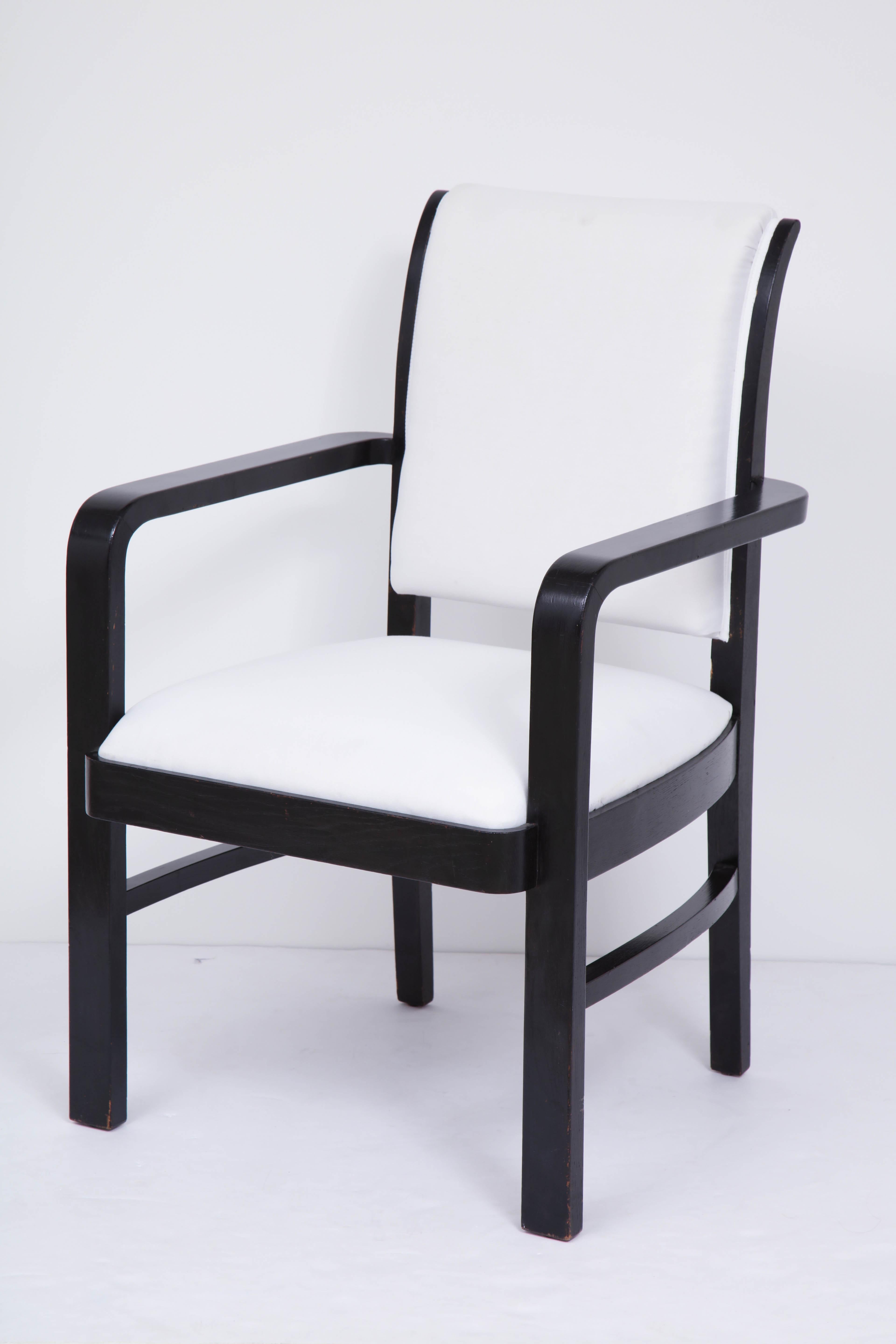 Pair of Ebonized Fauteuils For Sale 2