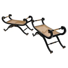 Pair of Ebonized Finish Cane Seat Wide Slayed Ball Points Legs Benches