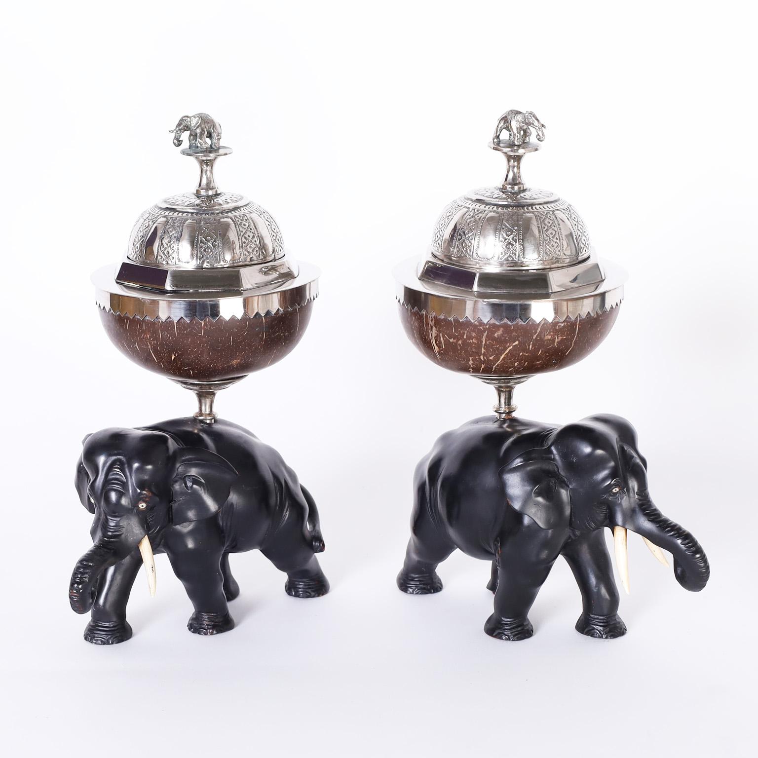 Antique Anglo Indian pair of tea caddies with silvered metal tops having elephant handles over coconut bowls above carved ebony elephants with bone tusks and eyes.