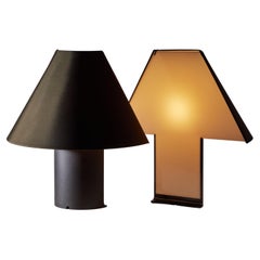 Pair of 'Edipo' Table Lamps by Barbaglia & Colombo for PAF