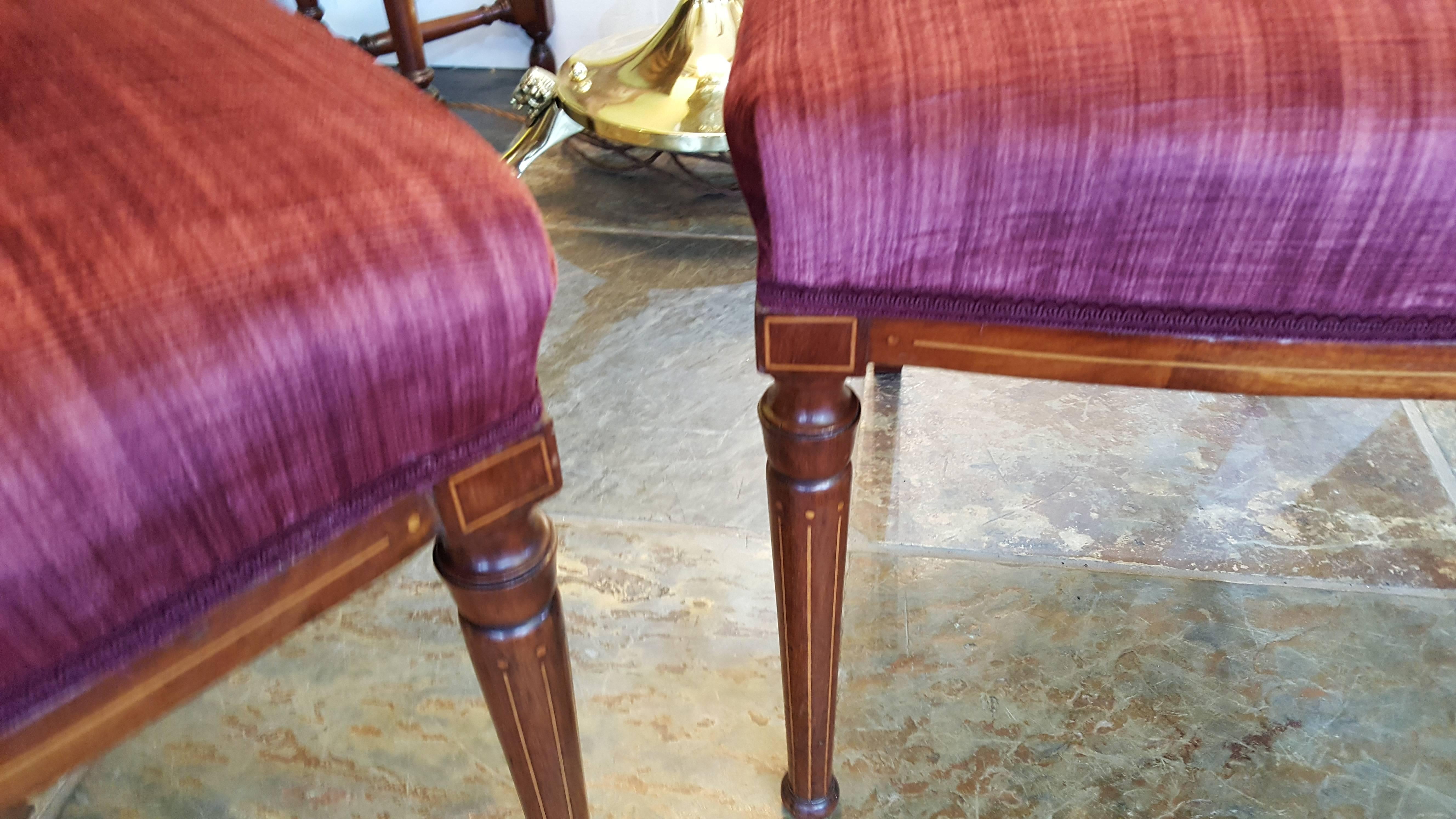 English Pair of Edwardian Mahogany and Marquetry Chairs