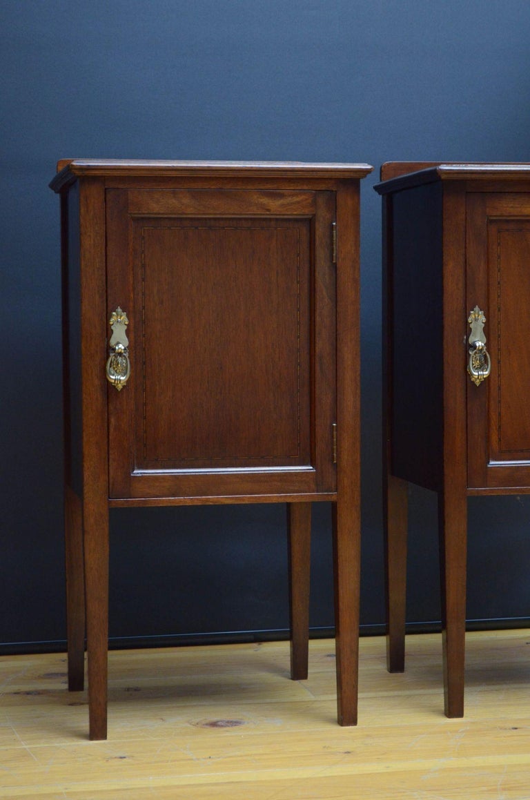 Pair of Edwardian Mahogany Bedside For Sale at 1stDibs