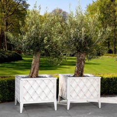 Pair of Elegant and Refined white Painted Metal Outdoor Planters.