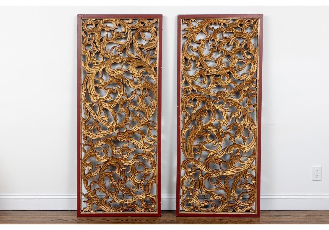 Striking and decorative tall wall panels carved and gilt with overall openwork large scrolled acanthus leaves in relief, each leaf with raised ribs edged in black. The frames painted in a red-brown tone in front, the backs painted black. With