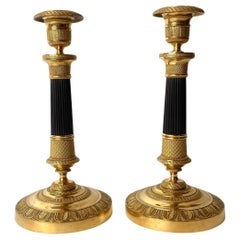 Pair of Elegant Empire Candlesticks in Gilded and Patinated Bronze from the 1820
