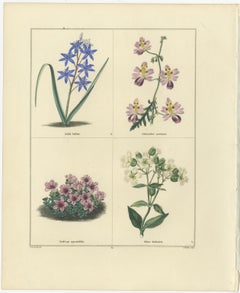 Pair of Elegant Hand-Colored Botanical Flower Prints, London 1828