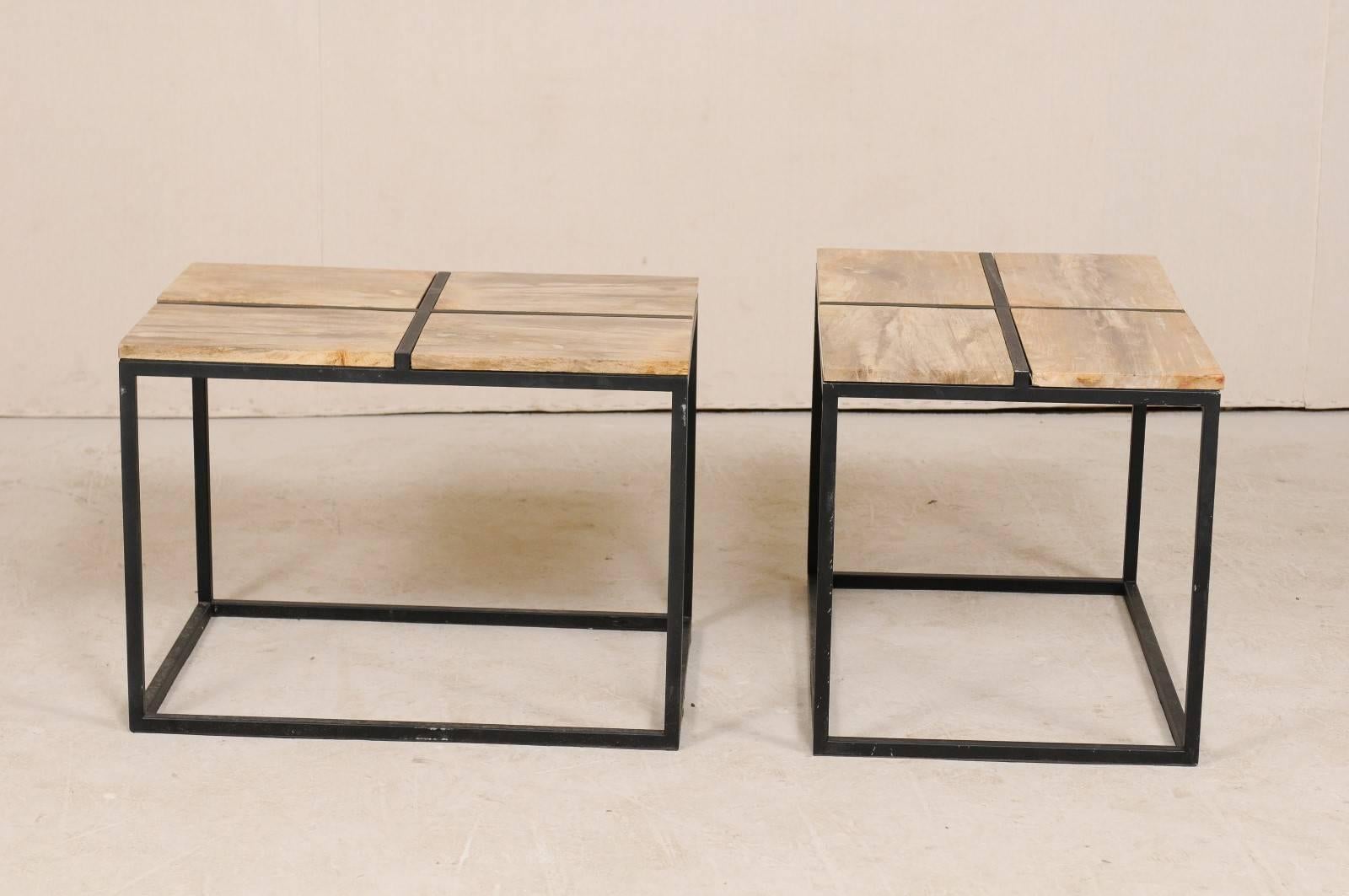 Pair of Elegant Petrified Wood Side Tables or Coffee Tables with Iron Bases 2