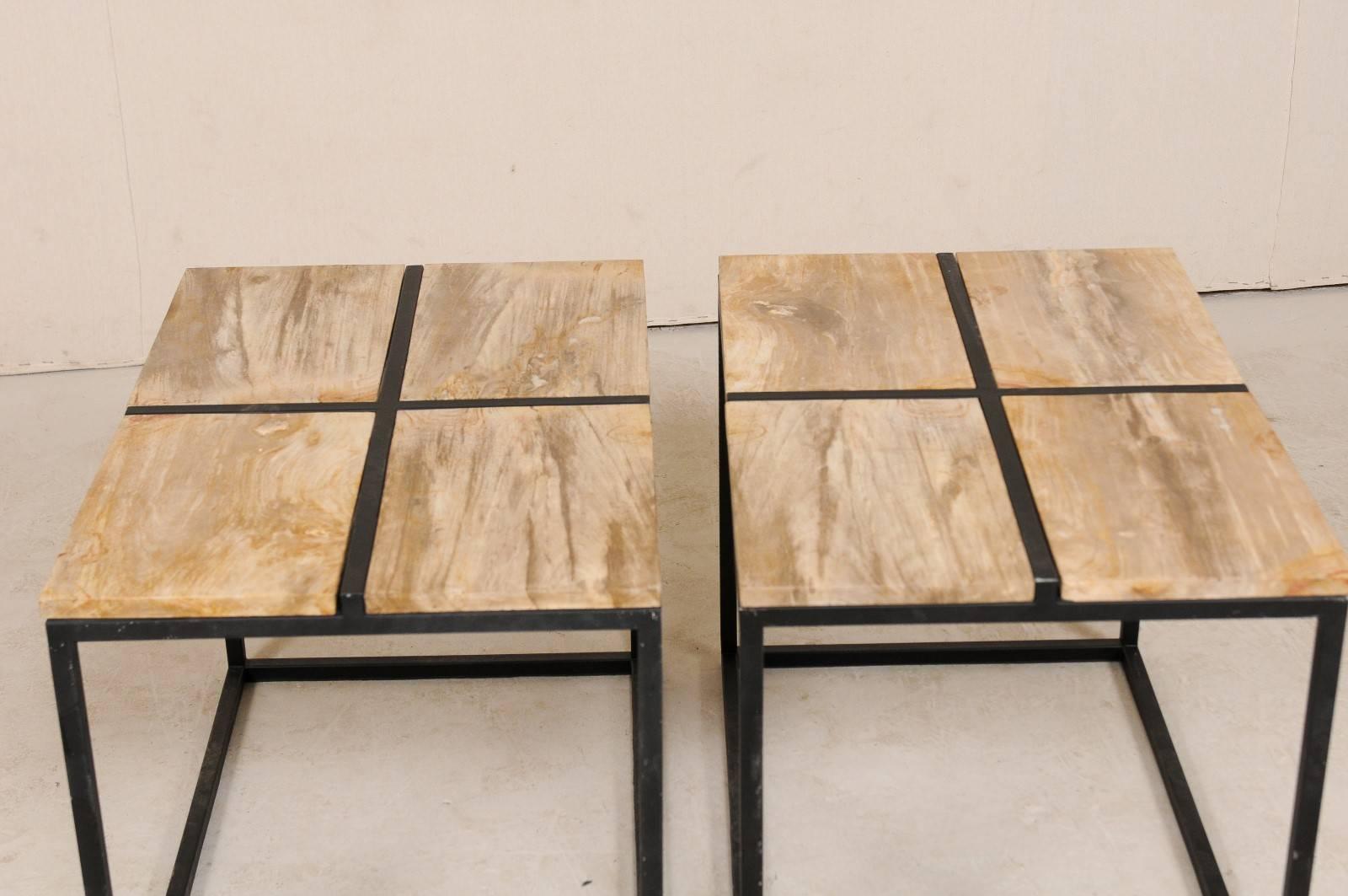 Pair of Elegant Petrified Wood Side Tables or Coffee Tables with Iron Bases 3
