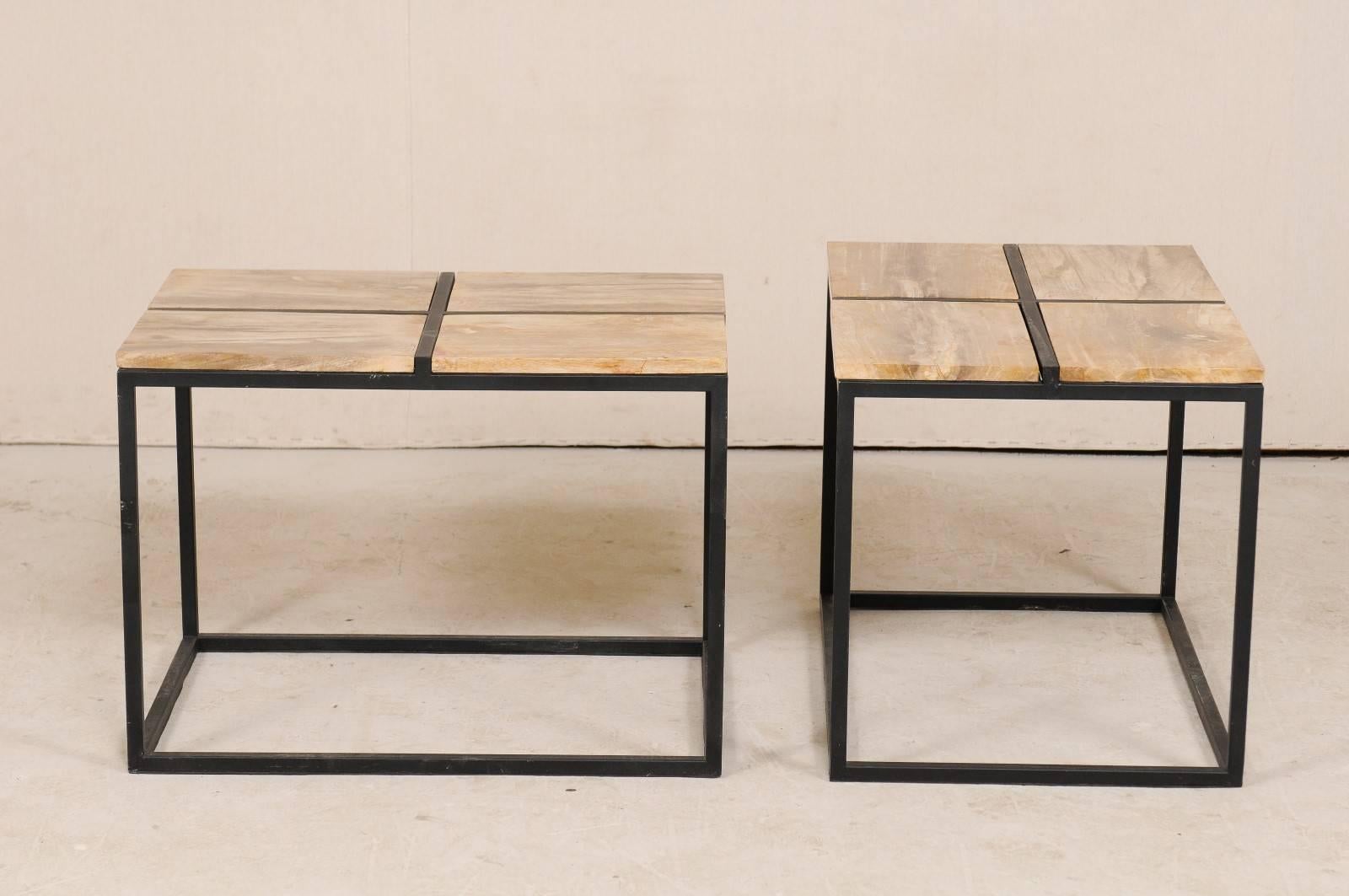Metal Pair of Elegant Petrified Wood Side Tables or Coffee Tables with Iron Bases