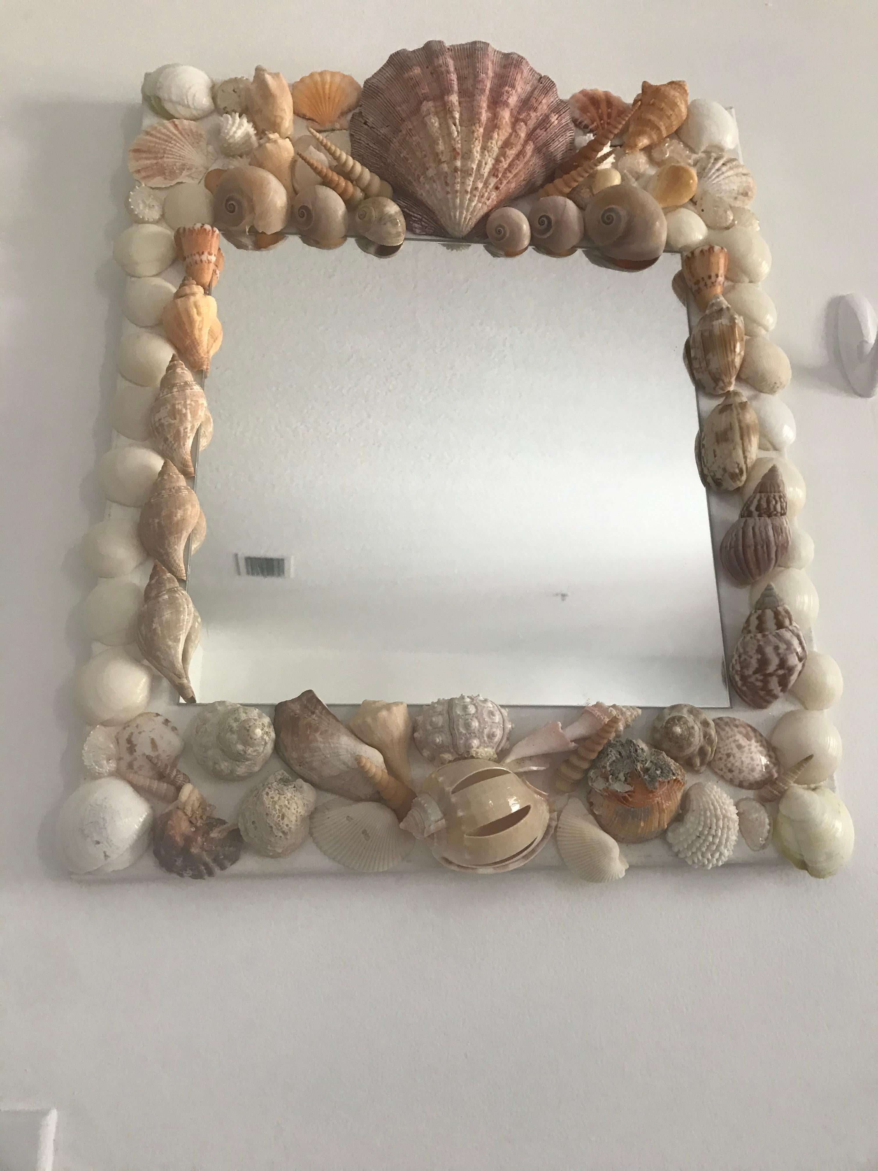 Organic Modern Pair of Elegant Shell Mirrors For Sale