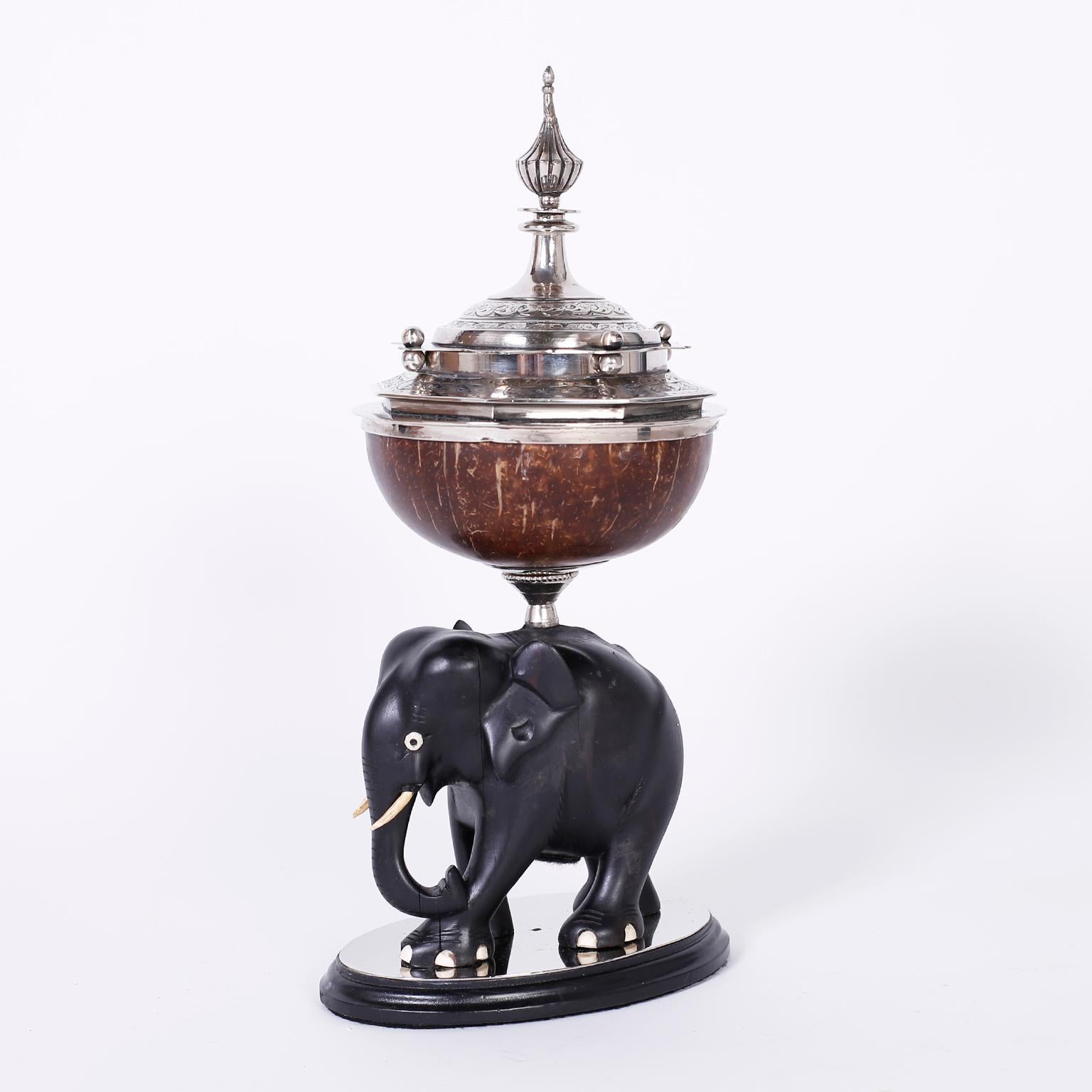 Anglo-Indian Pair of Elephant and Coconut Boxes or Garnitures For Sale