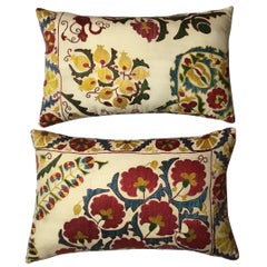 Pair of Embroidery Suzani Pillows