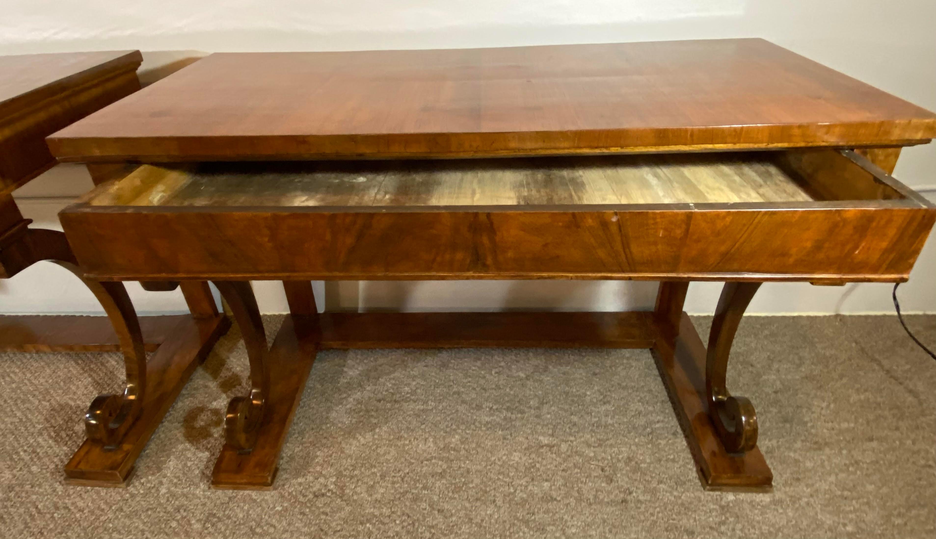 Pair of Empire Period Rosewood Consoles or Pier Tables 6
