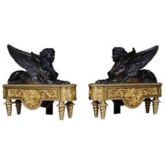 Pair of Empire Sphinx Chimneys, Brass Andirons, Paris 19th Century Napoleon III