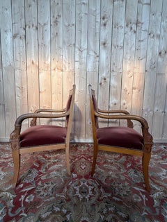 Pair of Empire style armchairs – Dolphin armrests – Beech and velvet