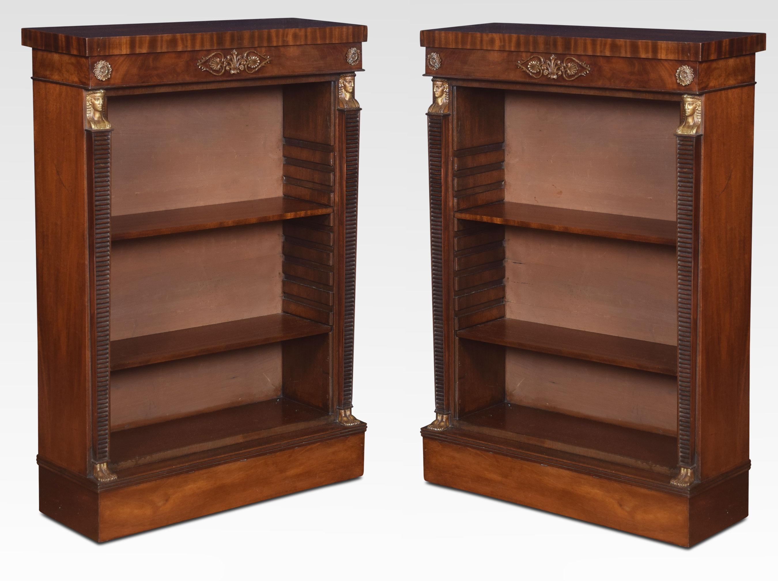 Regency Pair of Empire Style Bookcases