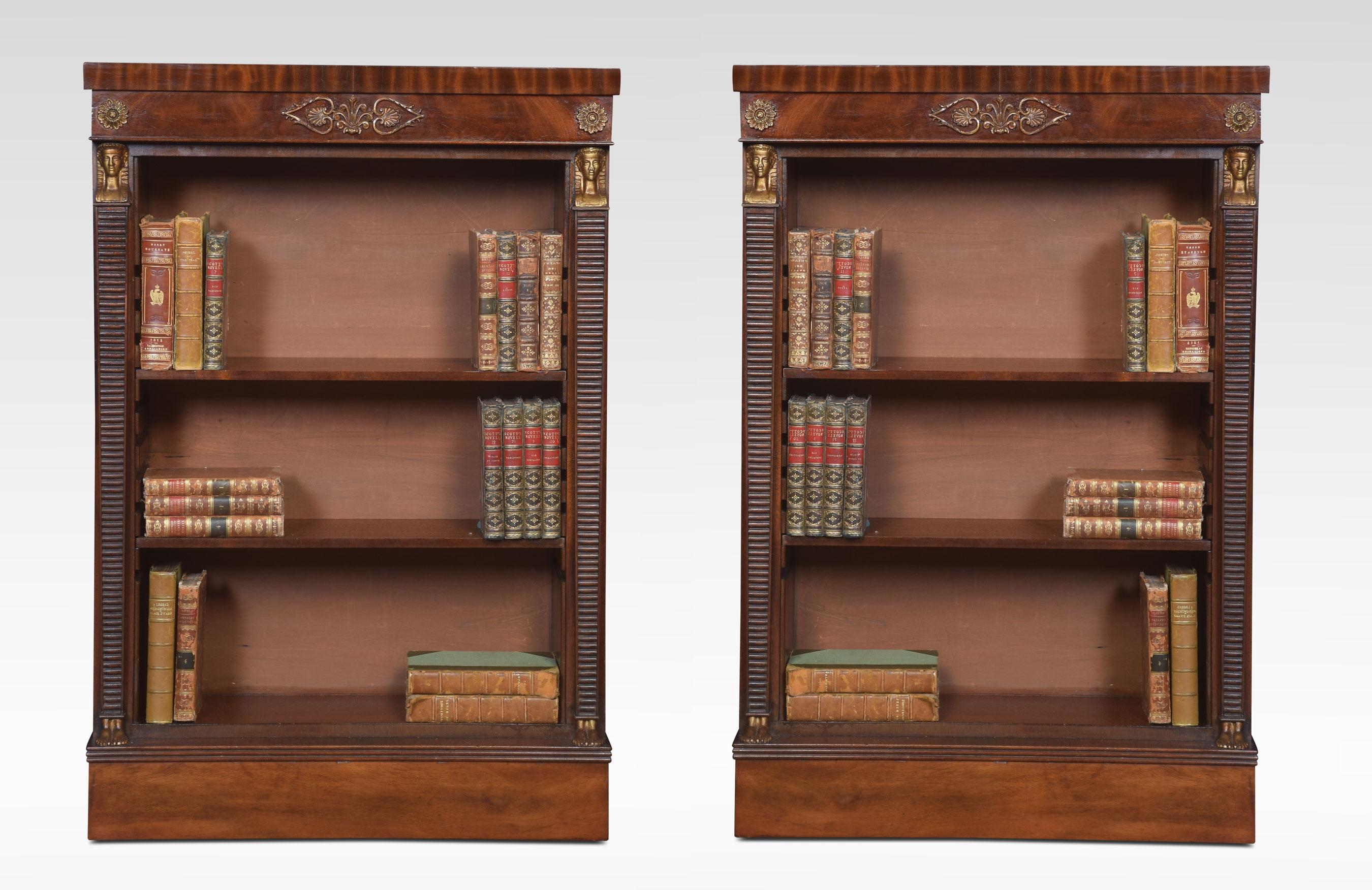 20th Century Pair of Empire Style Bookcases