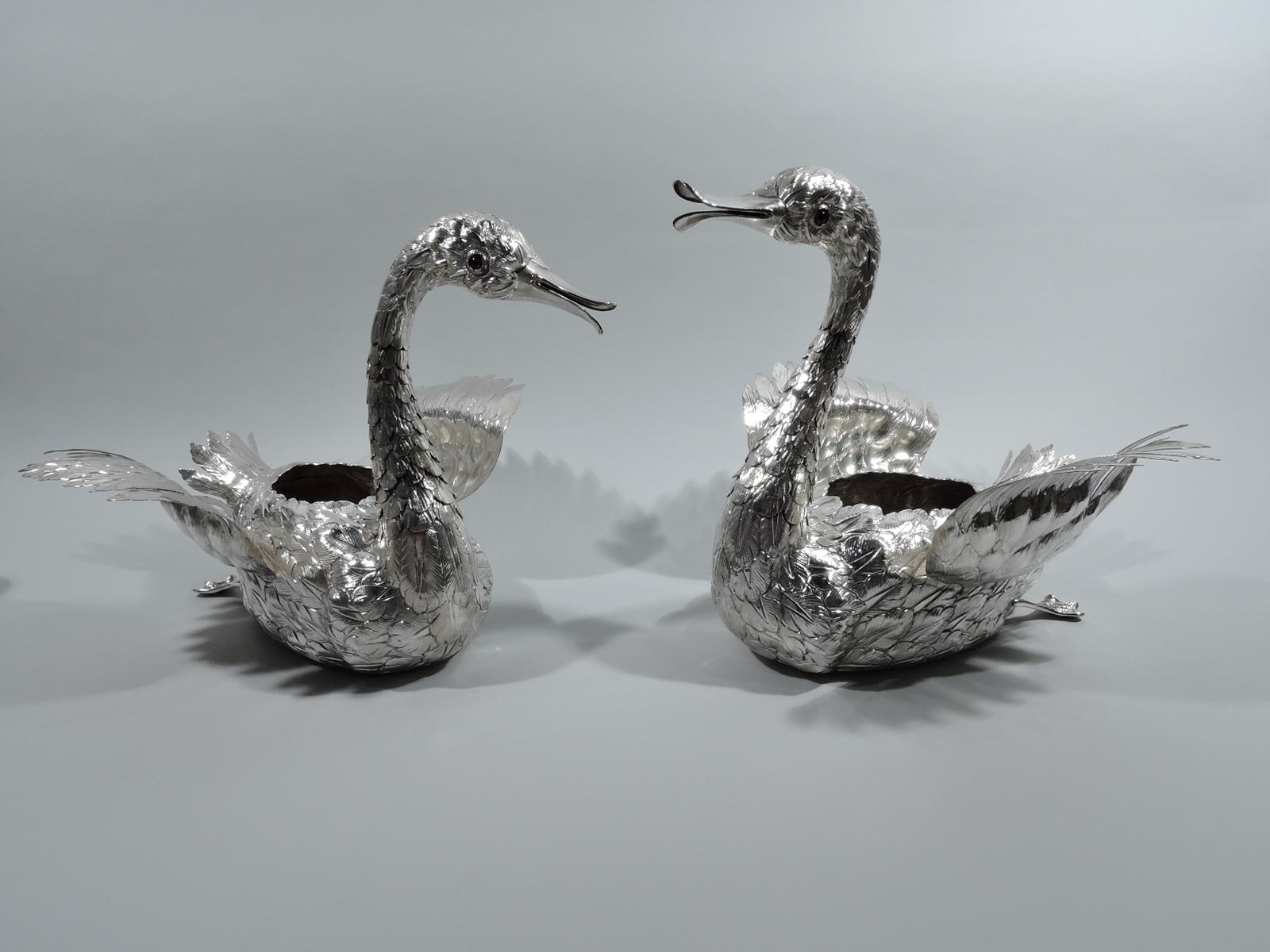 Pair of enchanting silver swans. Each: Ovoid body with webbed feet, soft haunches, articulated neck, and graceful head with glass eyes and gaping bill. Gorgeous plumage from imbricated neck to erect tail feathers. Wings hinged and body hollow for