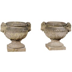 Pair of English 1880s Concrete Garden Urns with Rams Heads and Waterleaves