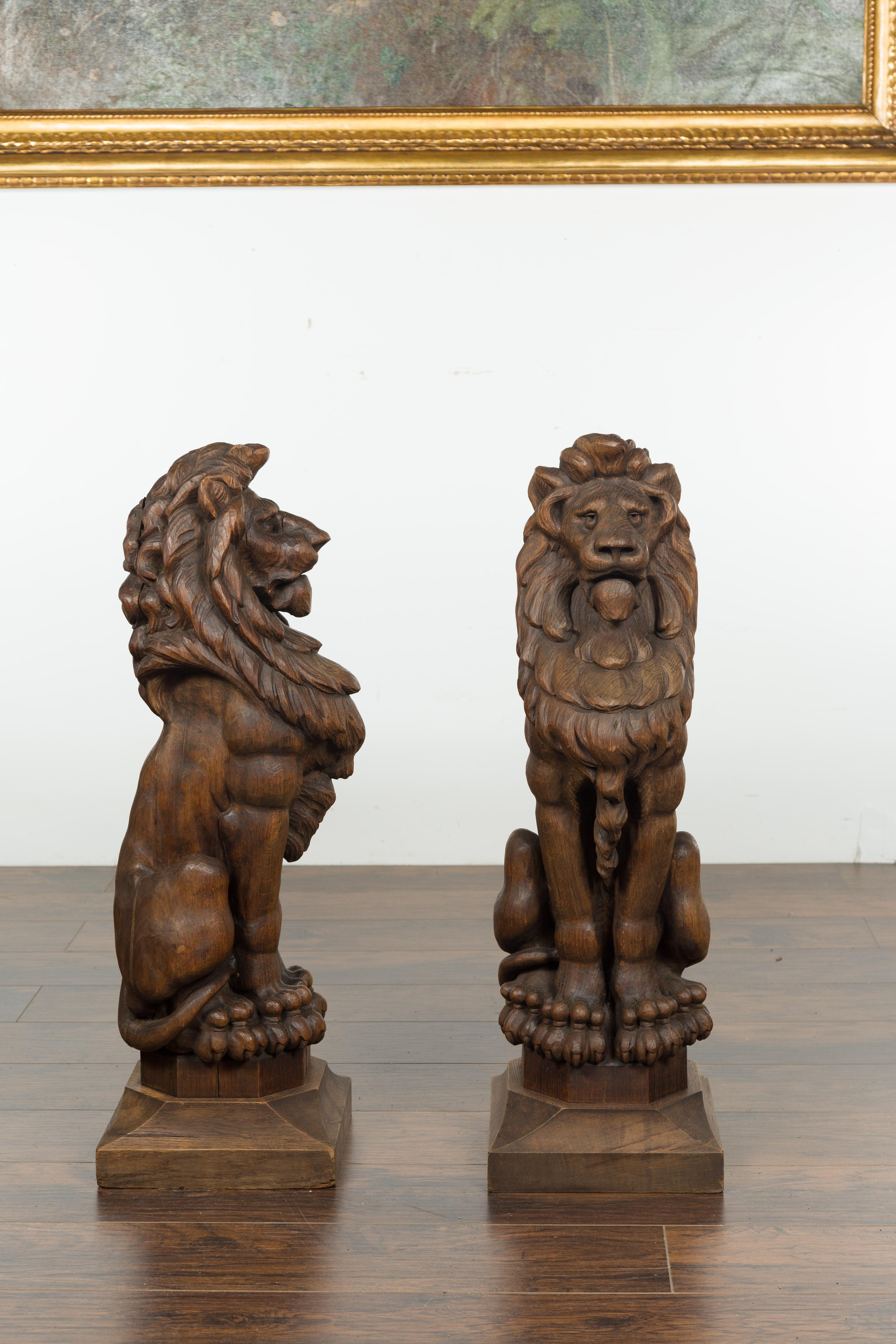 Pair of English 1880s Large Carved Oak Lions on Square Bases 6