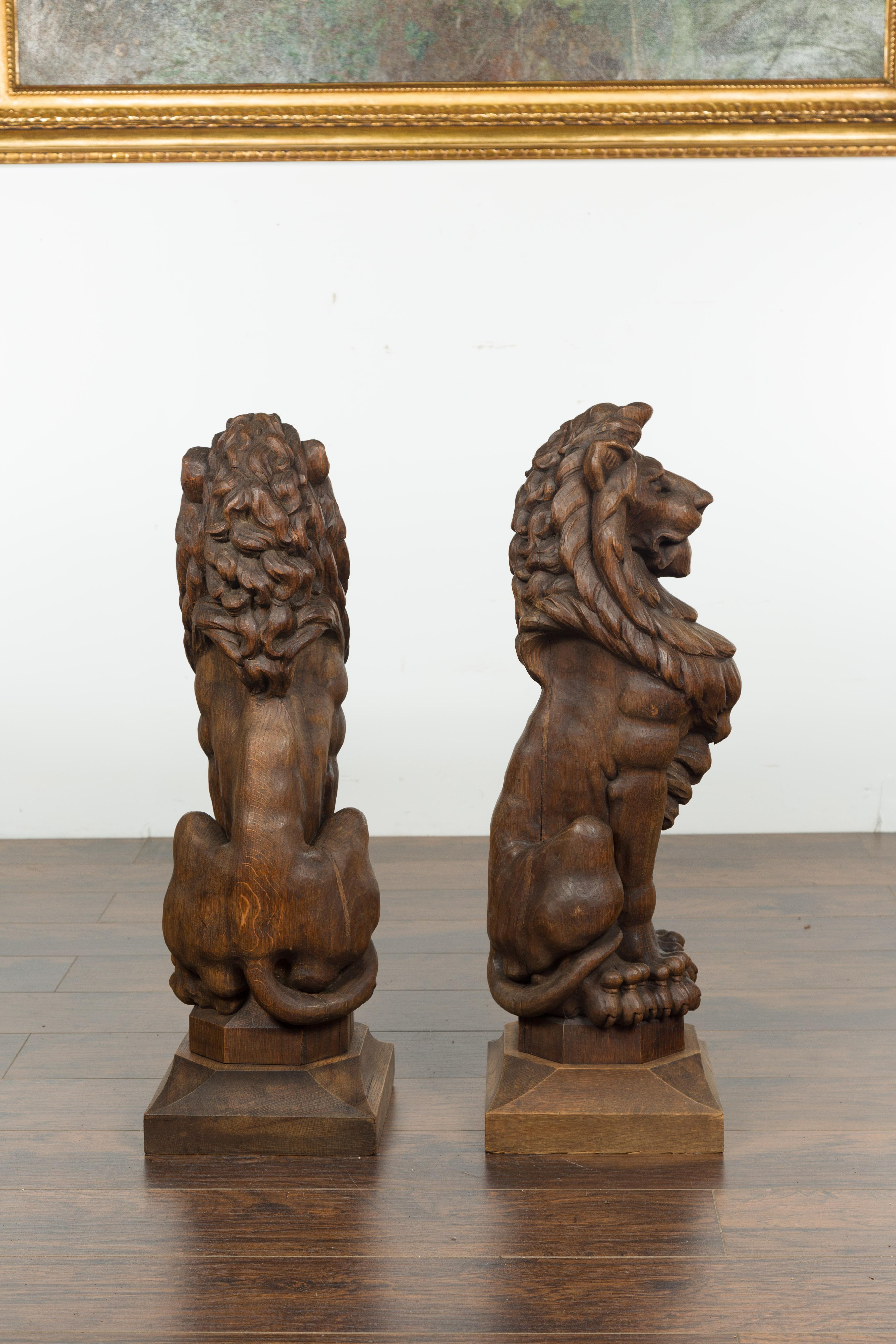 Pair of English 1880s Large Carved Oak Lions on Square Bases 7