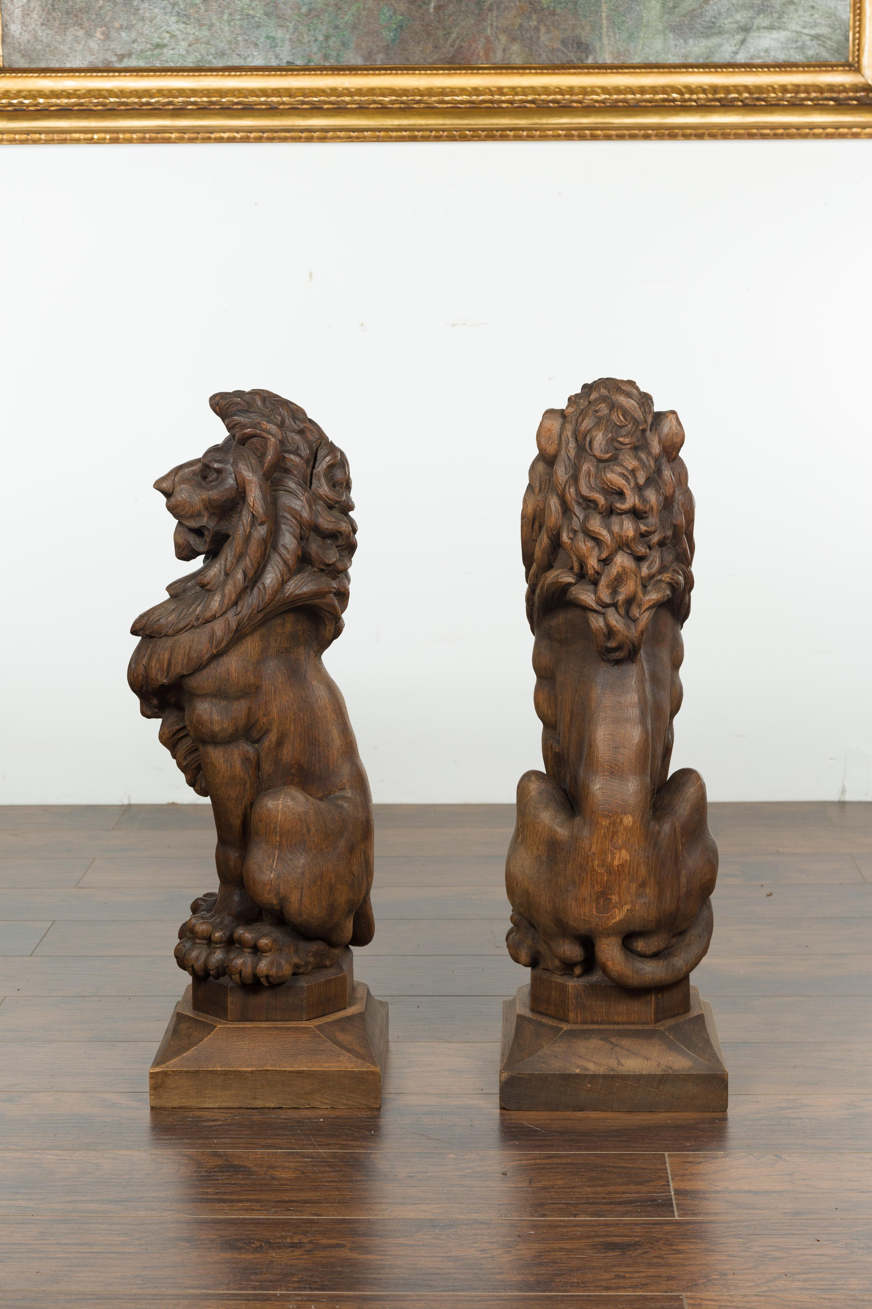 Pair of English 1880s Large Carved Oak Lions on Square Bases 8