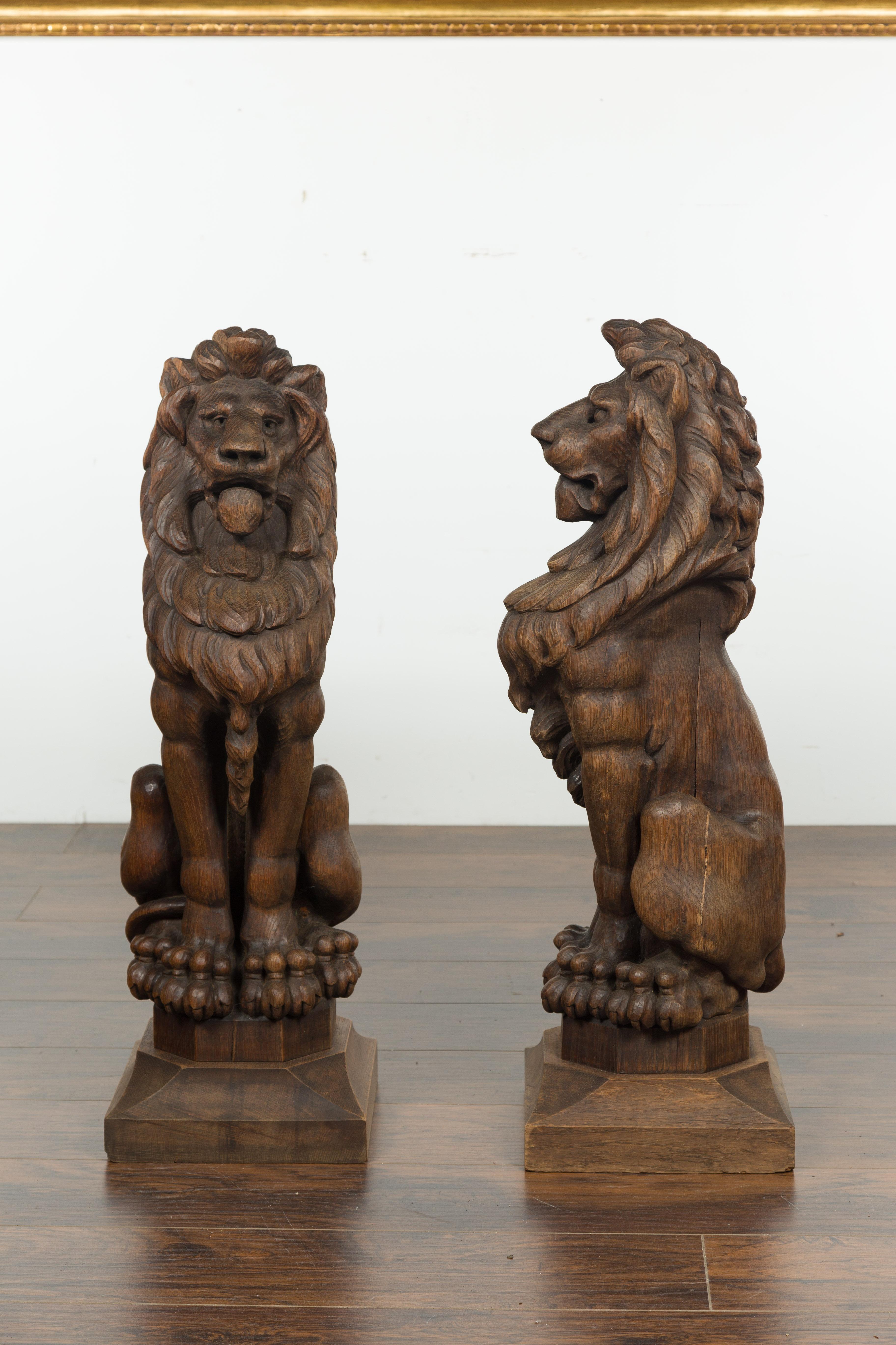 Pair of English 1880s Large Carved Oak Lions on Square Bases 10