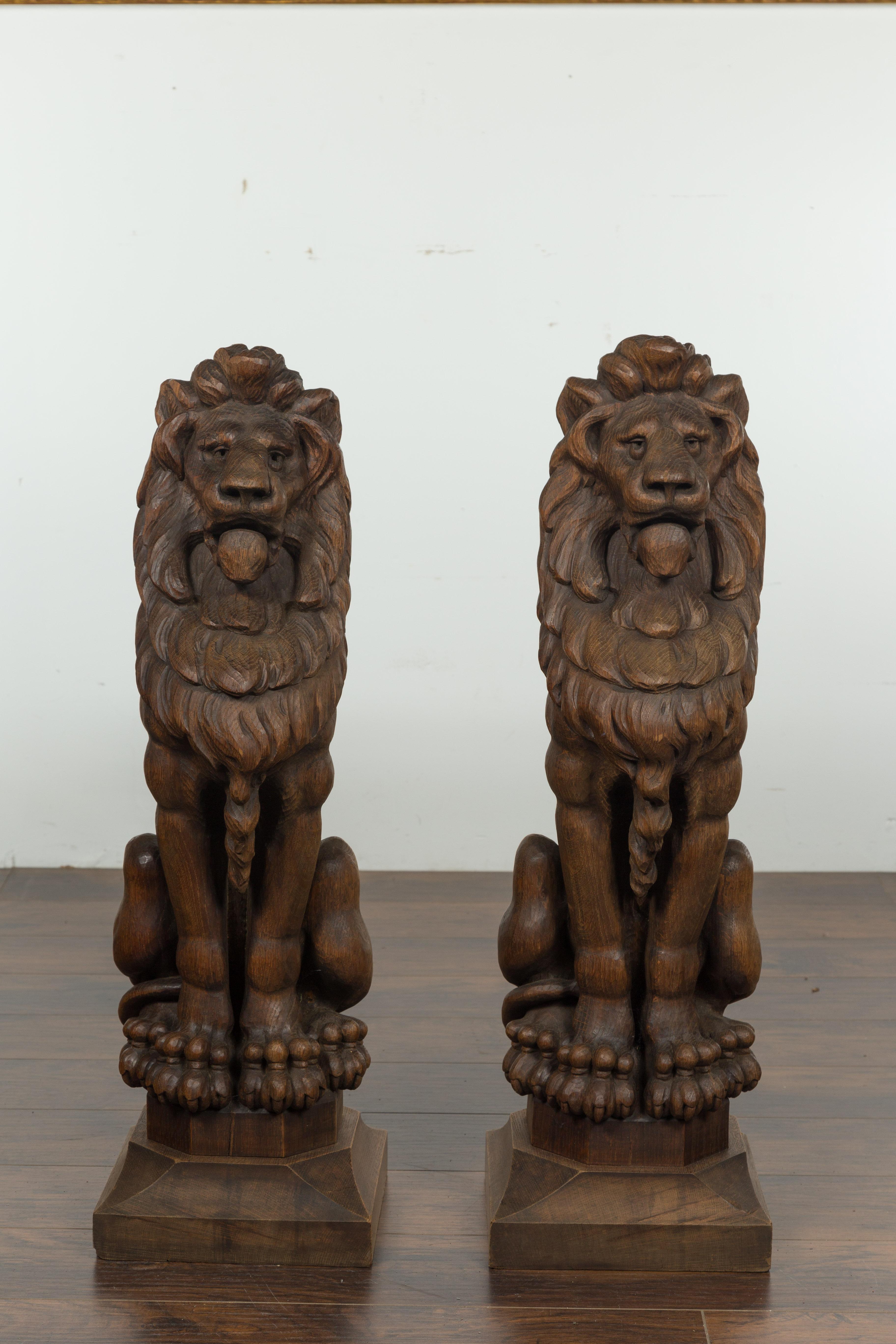 A pair of large English carved oak lions from the late 19th century, with square bases. Created in England during the last quarter of the 19th century, this pair of large English sculptures depict two majesting lions sitting obediently on a square