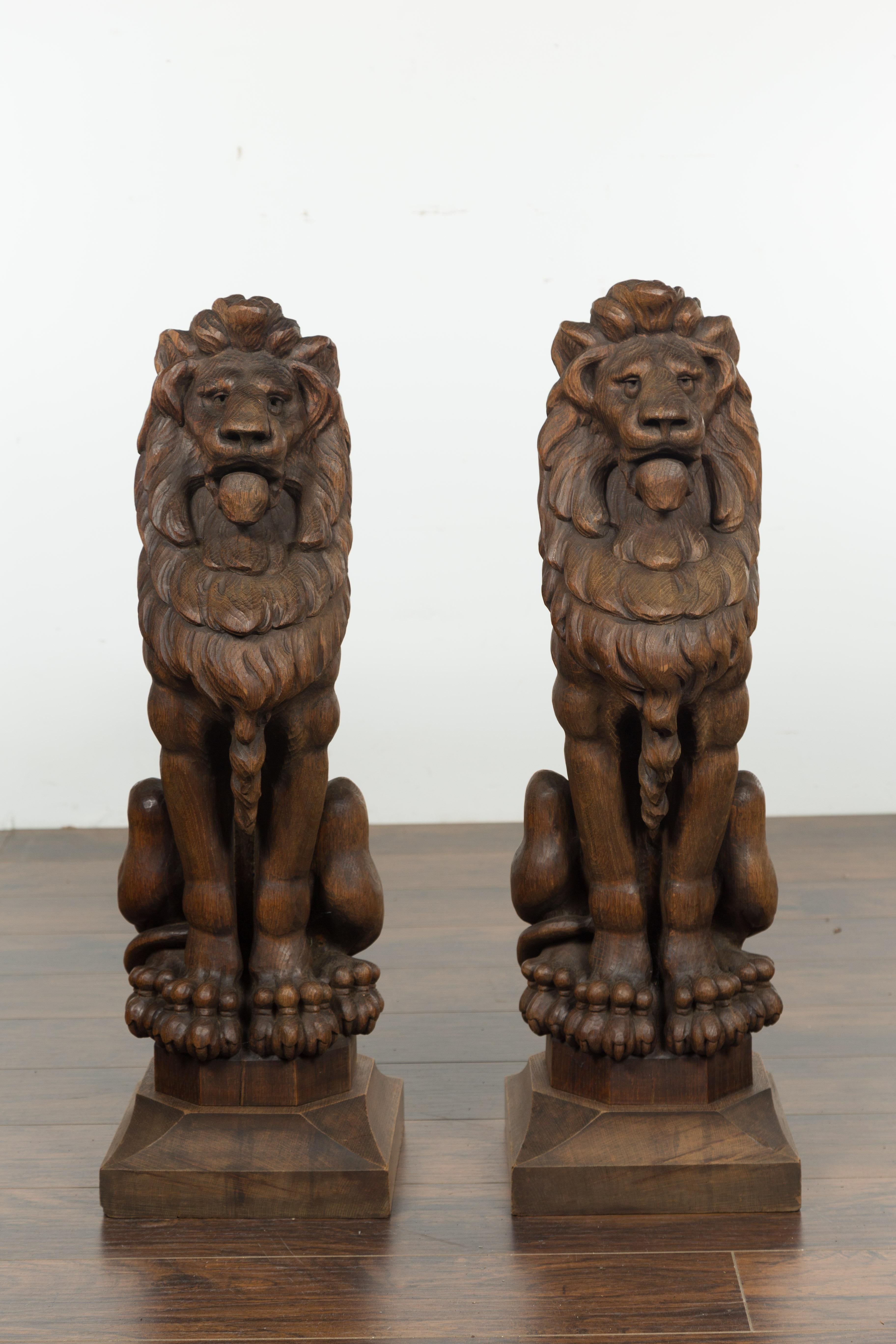 Pair of English 1880s Large Carved Oak Lions on Square Bases 2