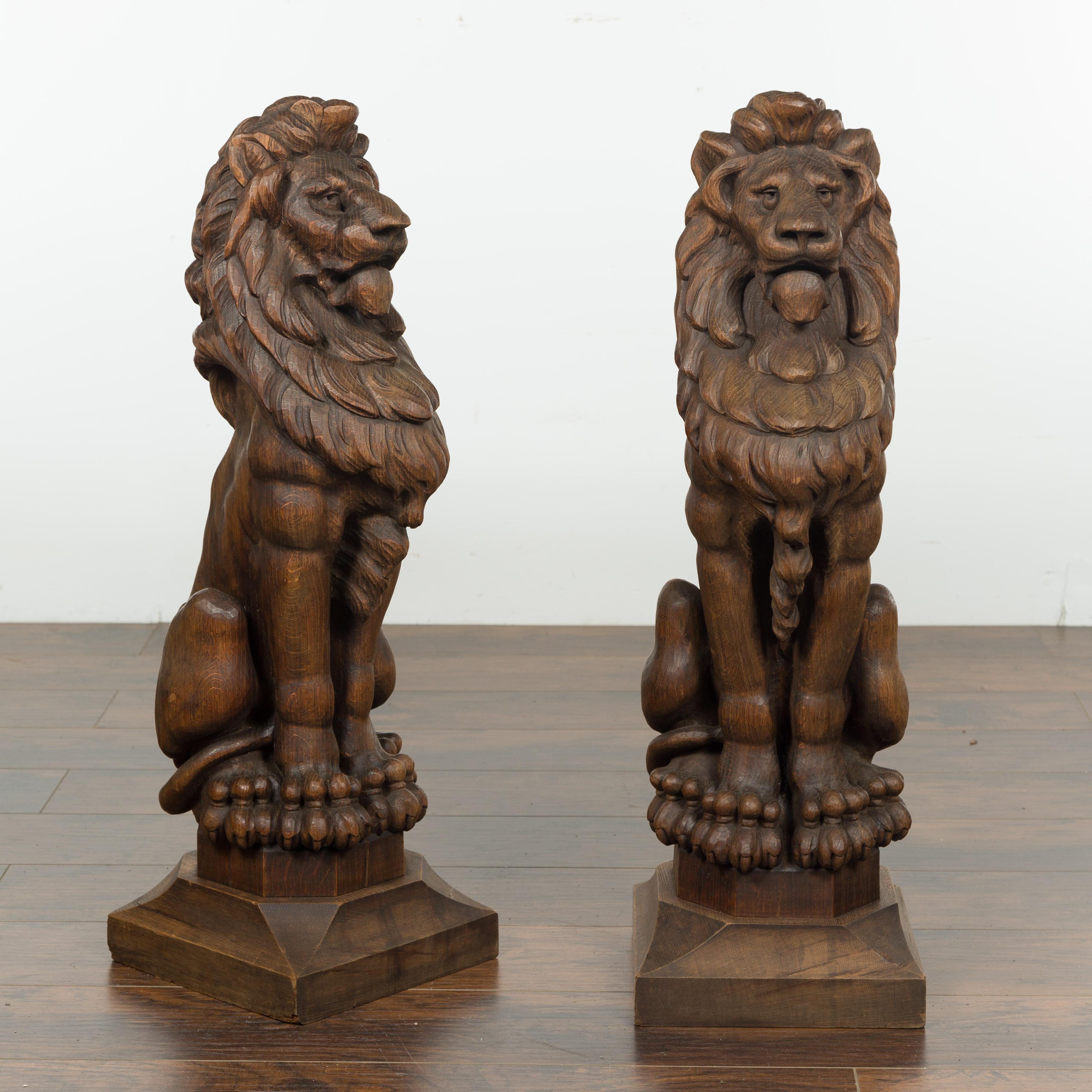 Pair of English 1880s Large Carved Oak Lions on Square Bases 5