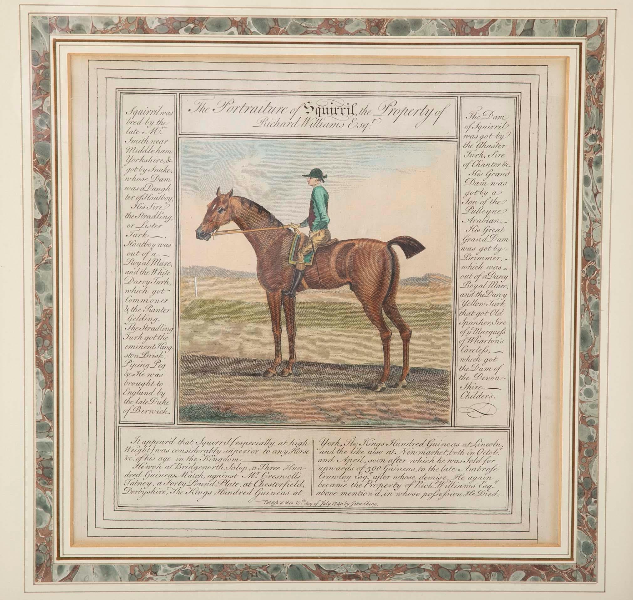 century equestrian
