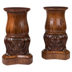 Pair of English 19th Century Mahogany Carved Pedestals