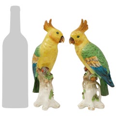 pair of English 19th century Porcelain parrots, attributed to Chelsea Porcelain