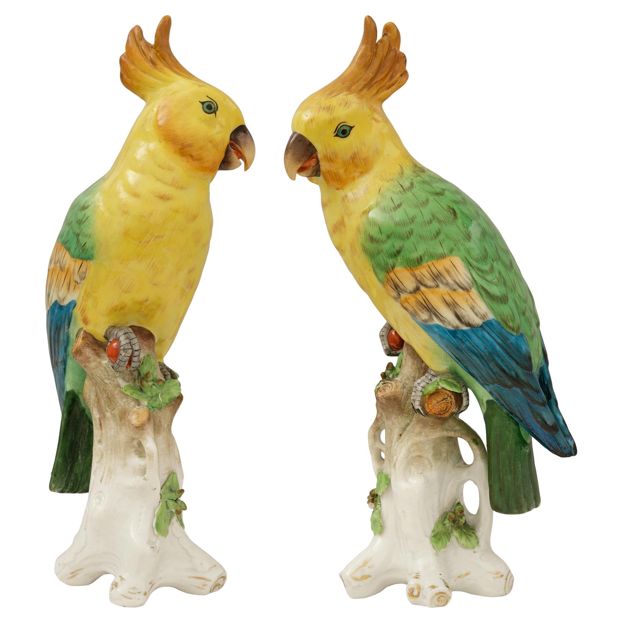 pair of English 19th century Porcelain parrots, attributed to Chelsea Porcelain For Sale