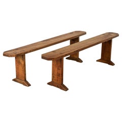 Pair of English 19th Century Solid Elm Benches