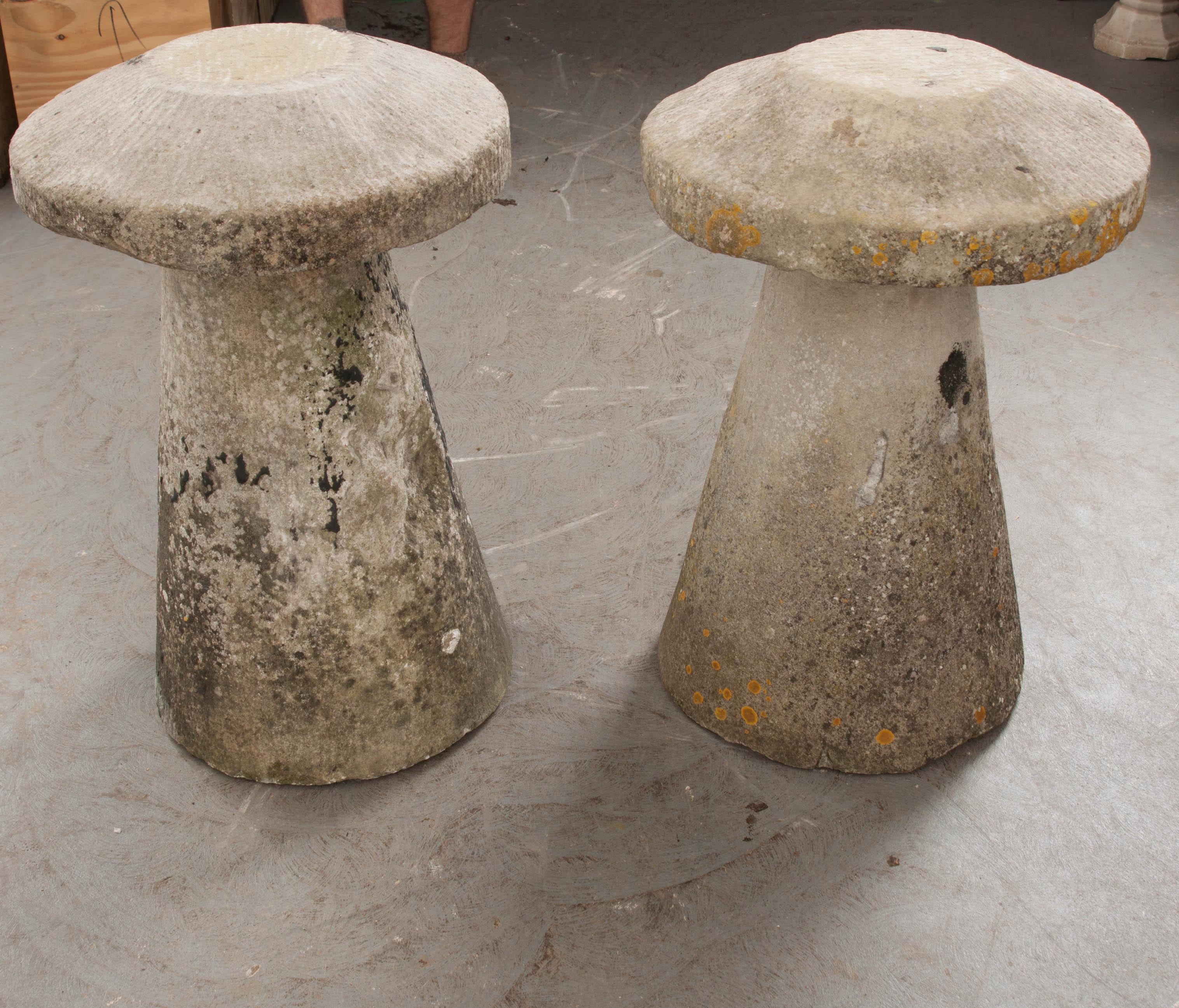 Pair of English 19th Century Staddle Stones 13