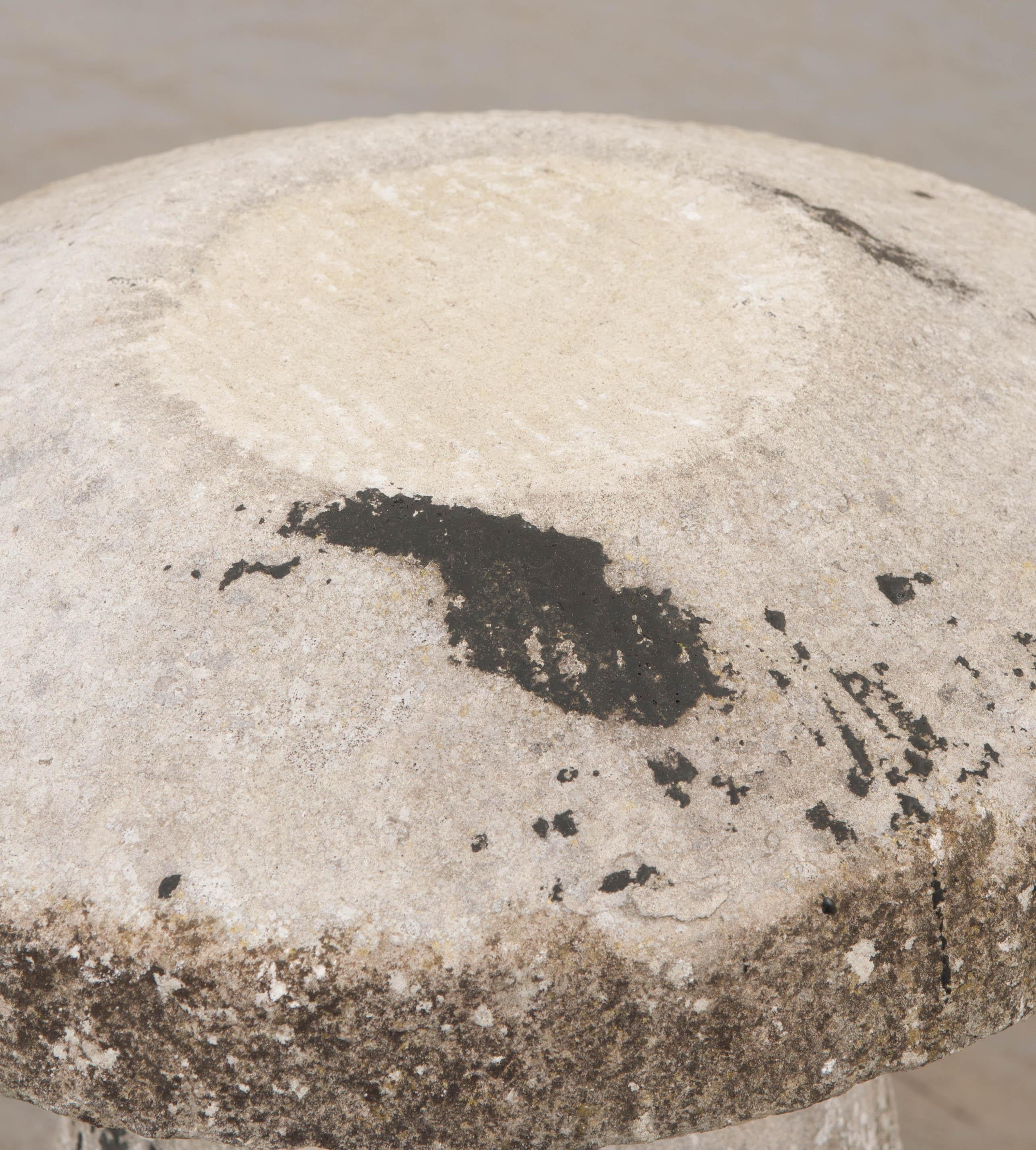 Pair of English 19th Century Staddle Stones 5