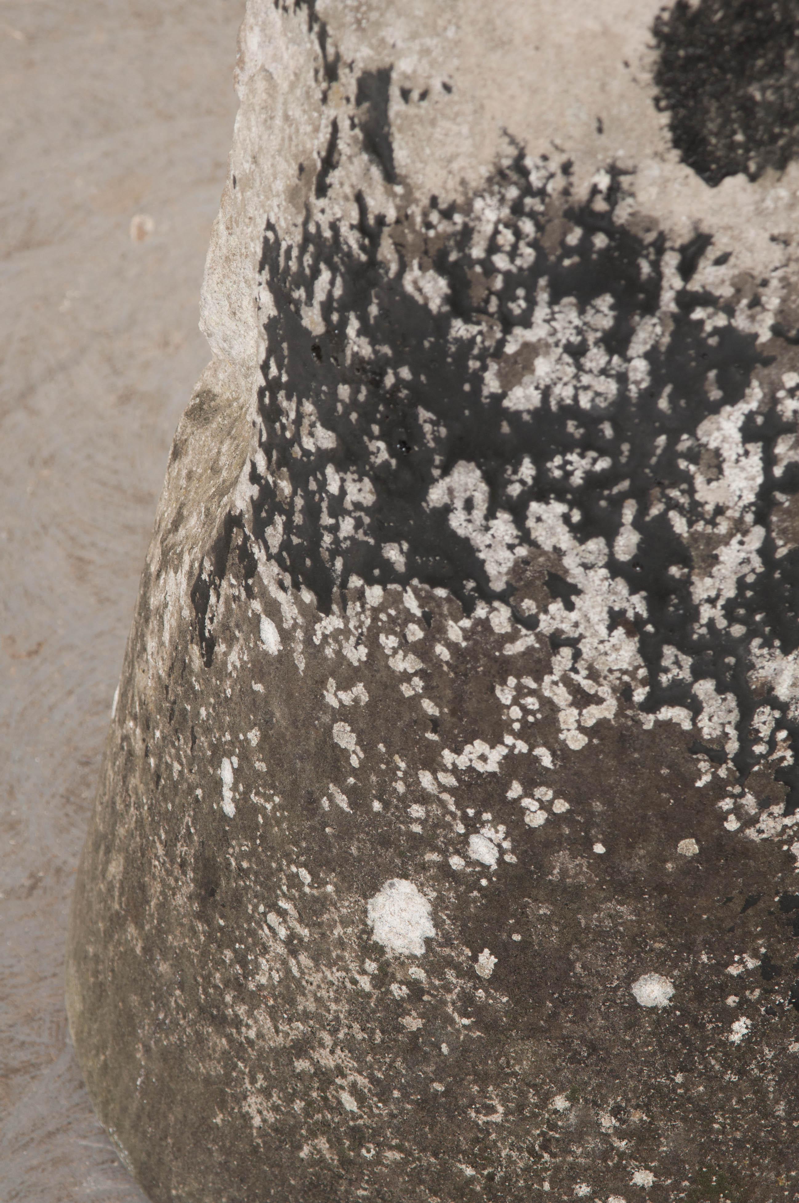 Pair of English 19th Century Staddle Stones 6