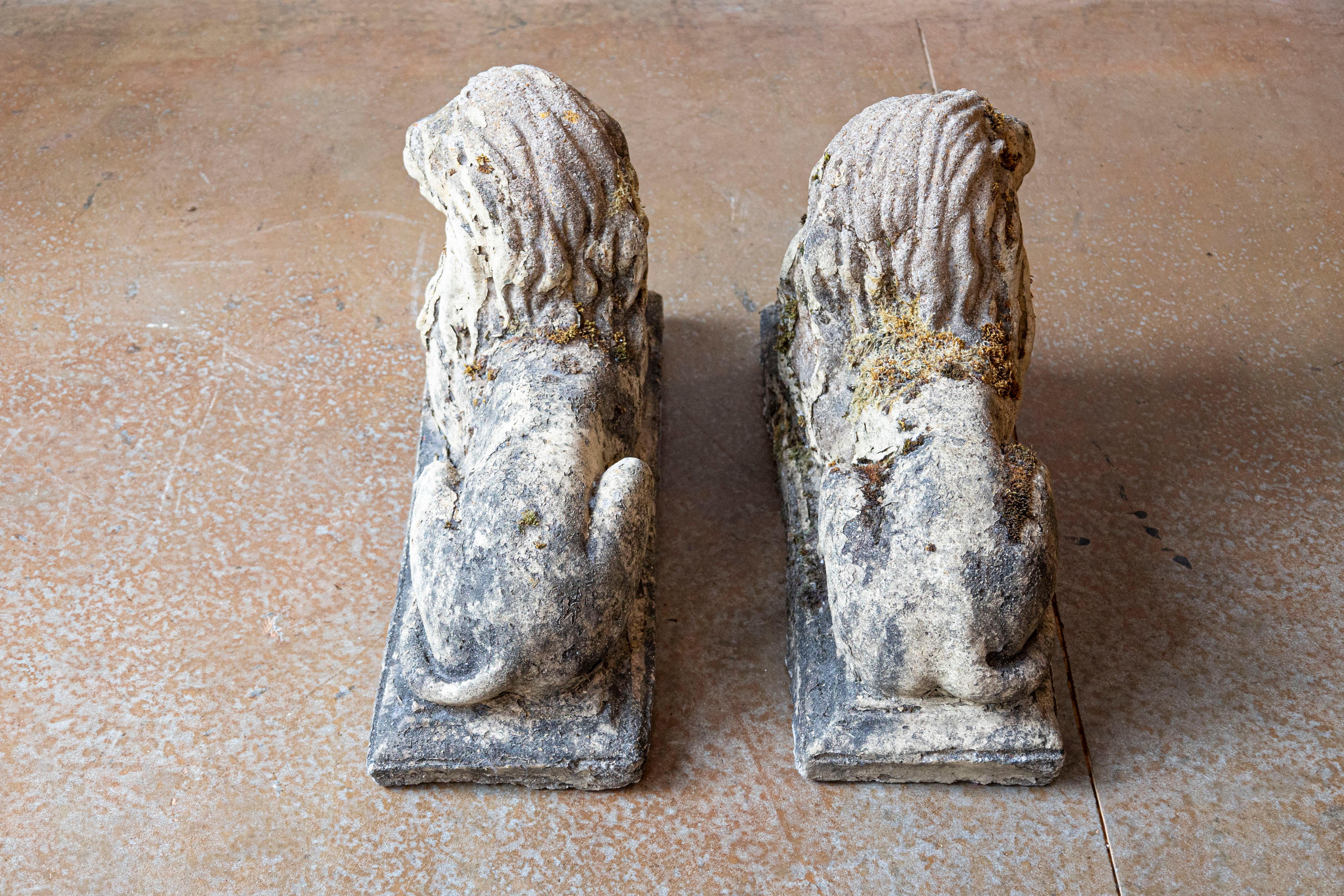 Pareja de esculturas inglesas de león reclinado de composición del siglo XX con pátina en venta 3