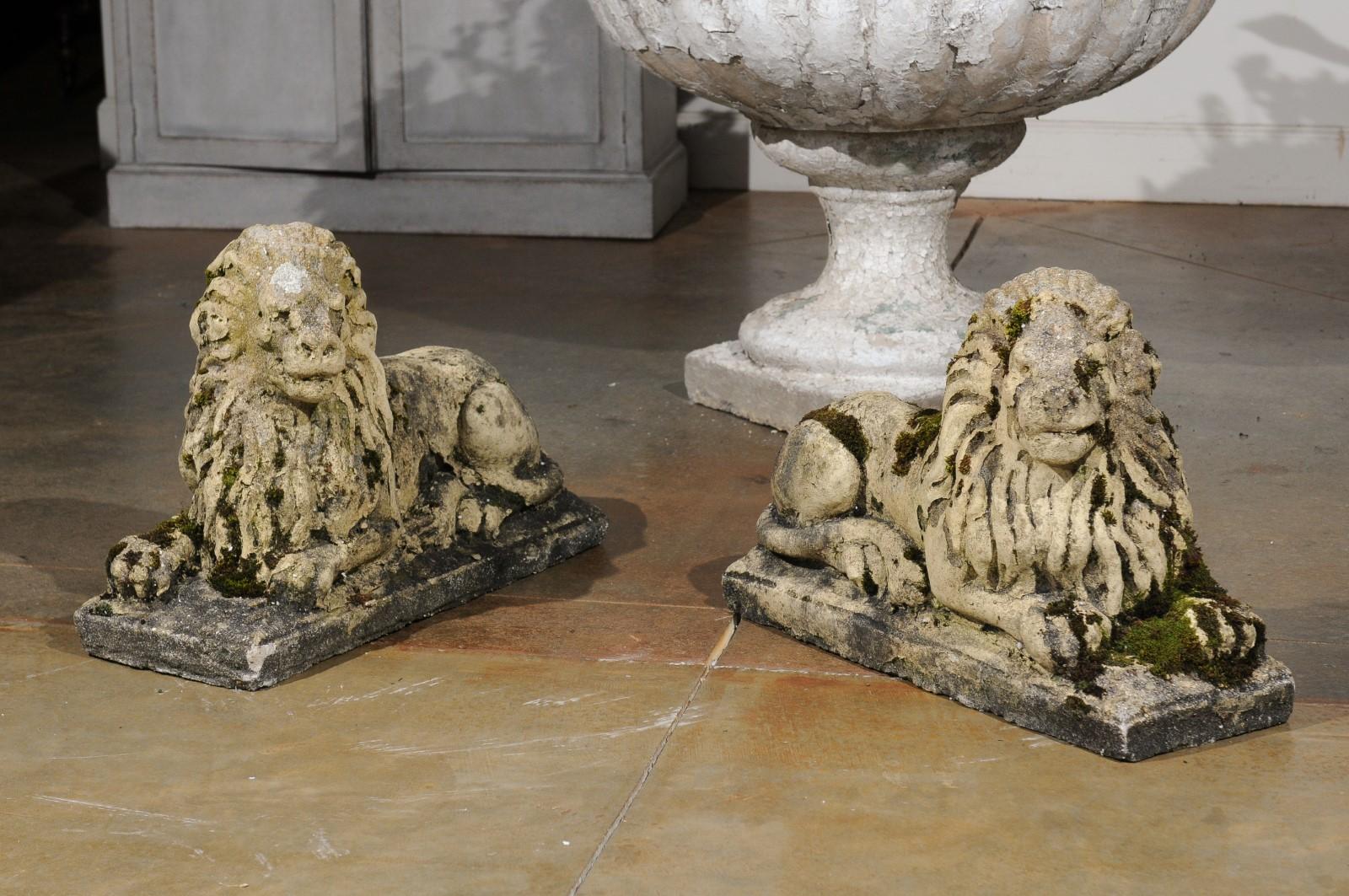 A pair of English composition lion sculptures from the late 20th century, with weathered patina. Born in England during the late 20th century, each of this pair of composition lions captures our attention with their relaxed pose, detailed mane and