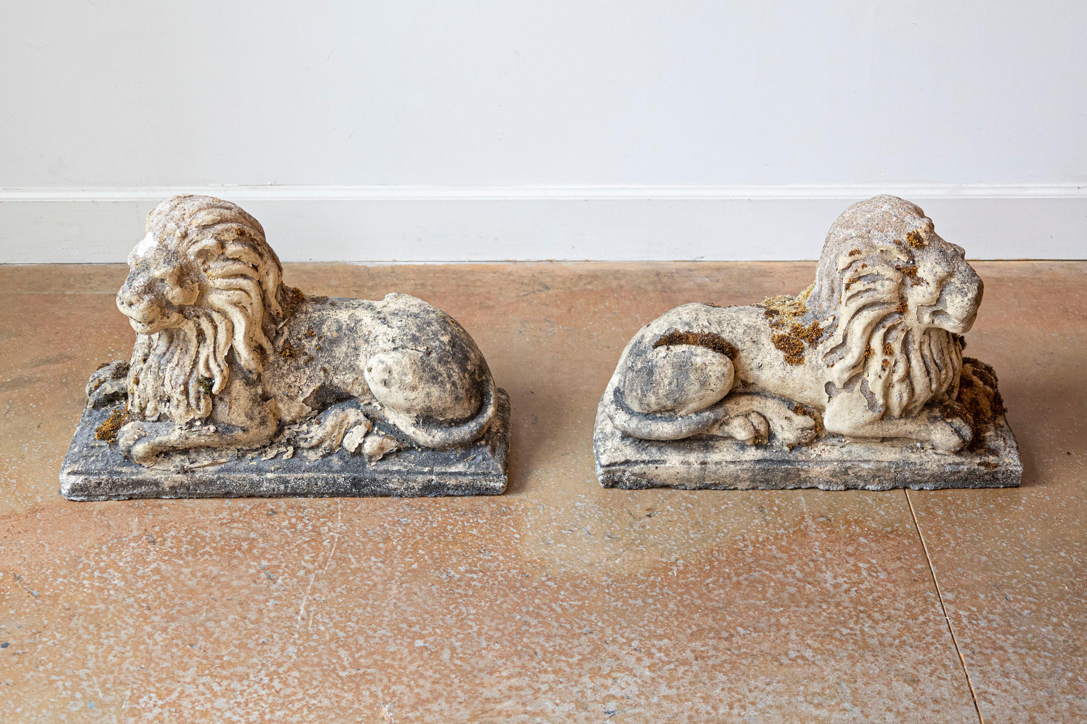 Pareja de esculturas inglesas de león de composición de finales del siglo XX, con pátina desgastada. Nacidos en Inglaterra a finales del siglo XX, cada uno de este par de leones de composición capta nuestra atención con su pose relajada, su melena