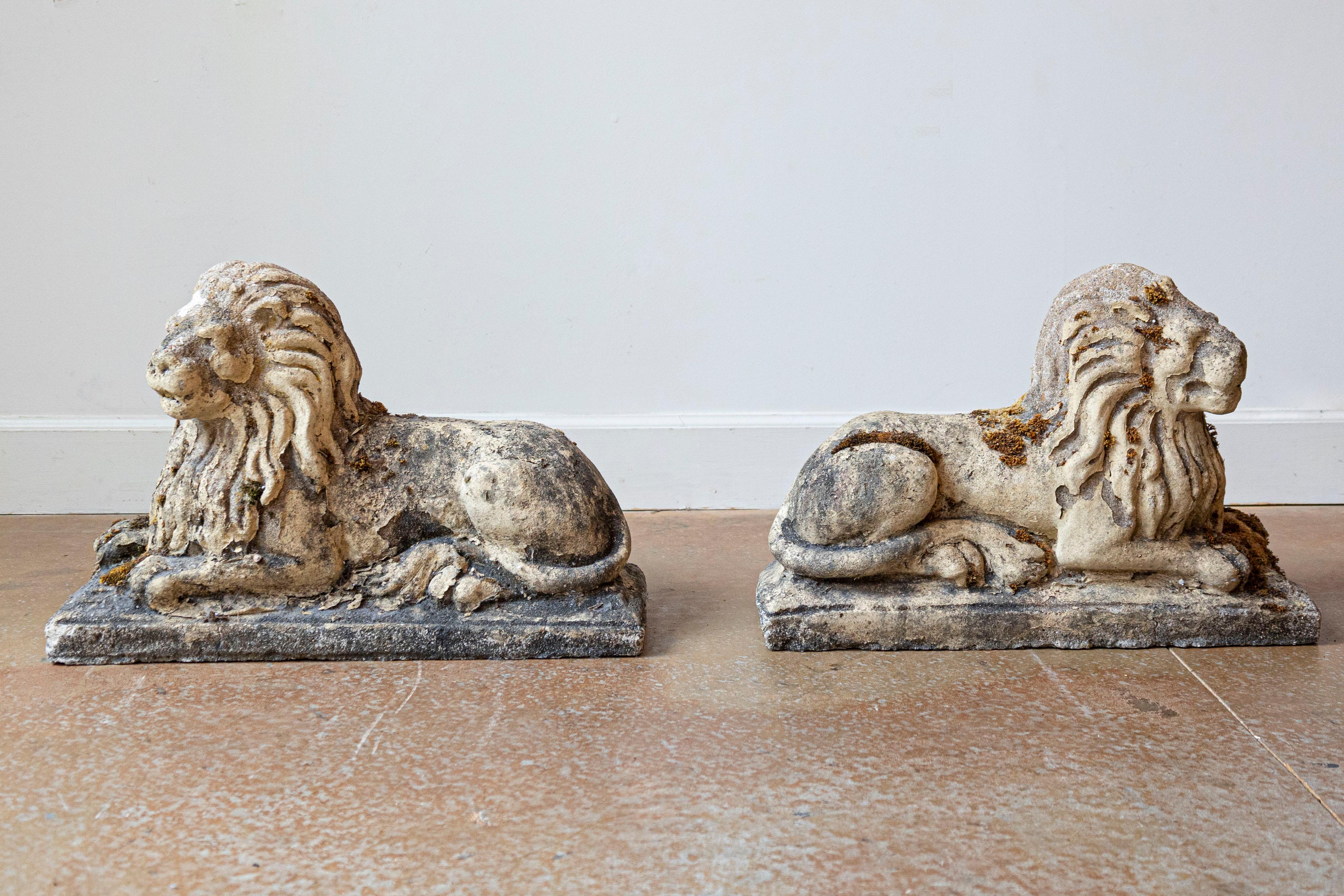 ramo leones comprar