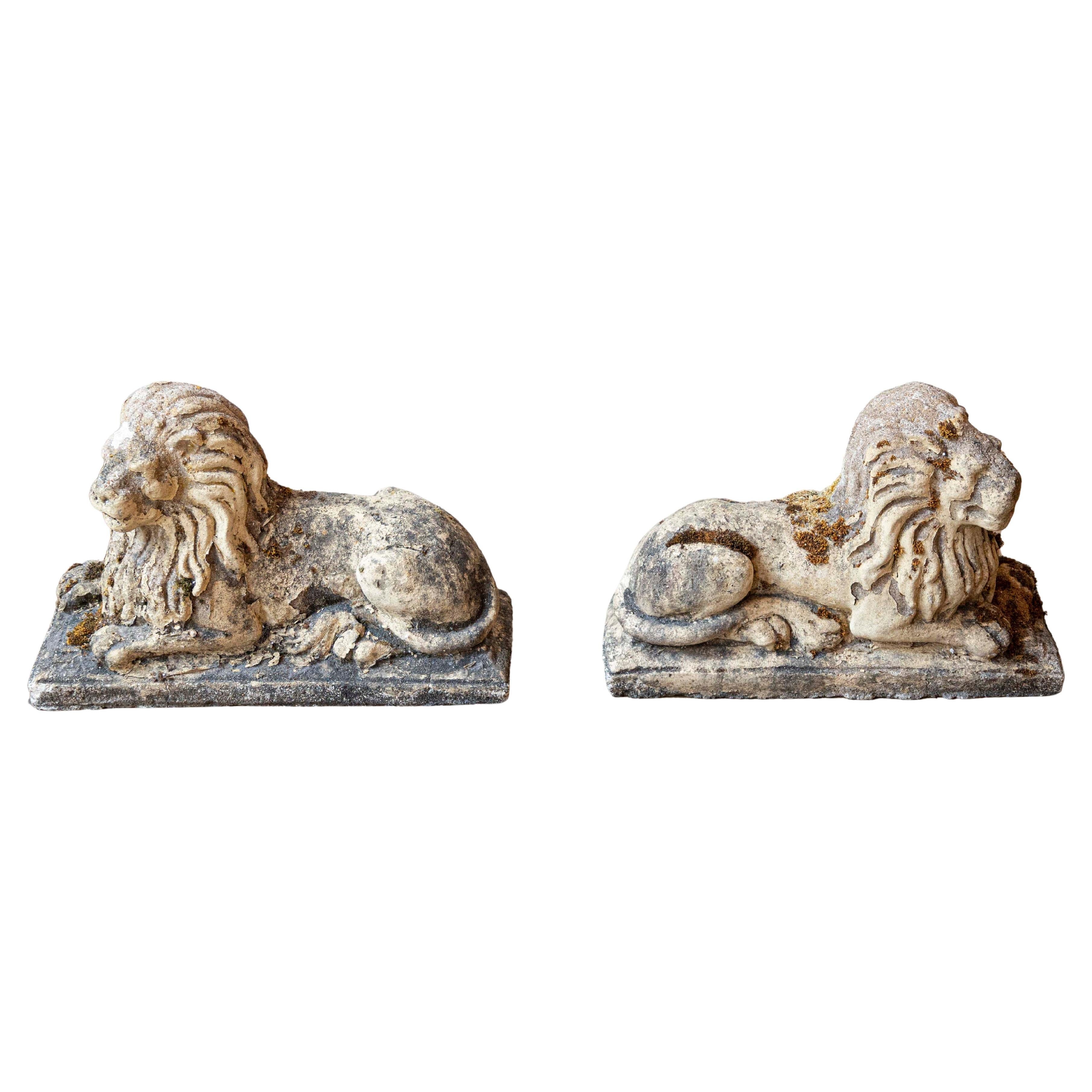 Paire de sculptures anglaises du 20e siècle en forme de lion couché, avec patine d'usage