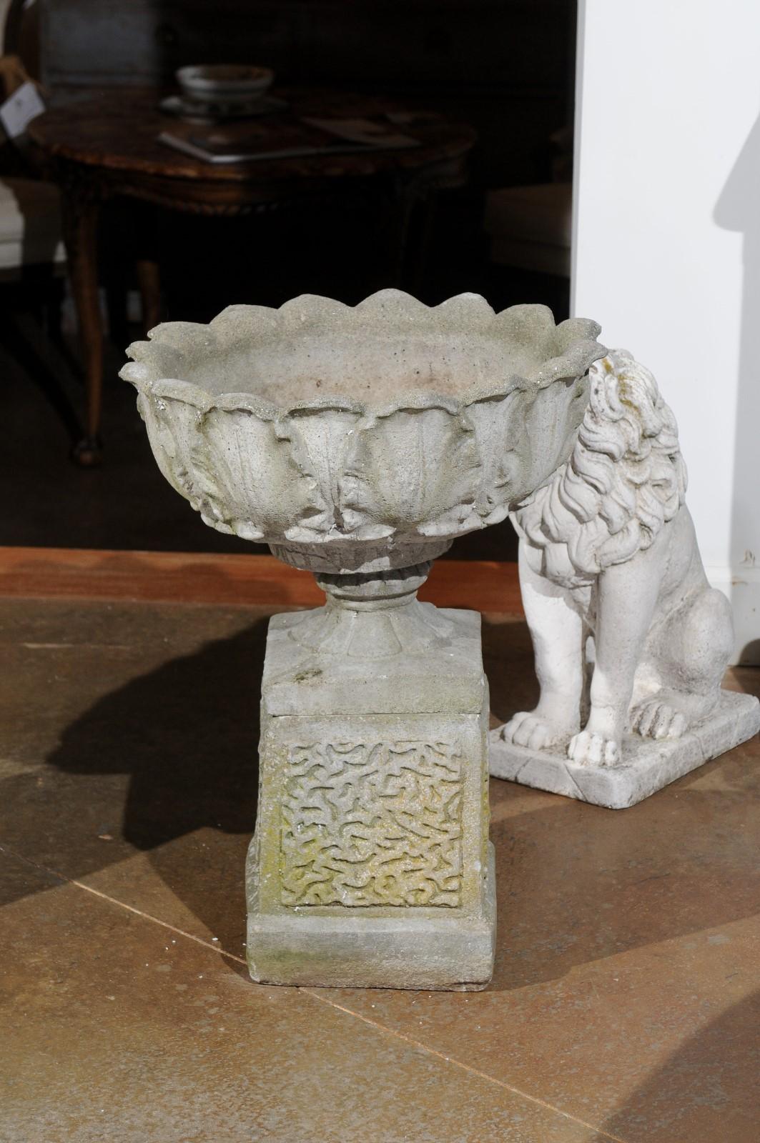 Pair of English 20th Century Stone Urns on Pedestals with Acanthus Leaf Motifs For Sale 2