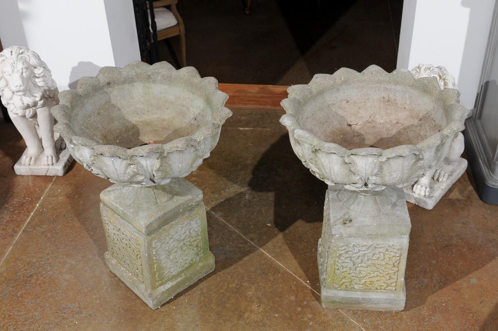 Pair of English 20th Century Stone Urns on Pedestals with Acanthus Leaf Motifs For Sale 3