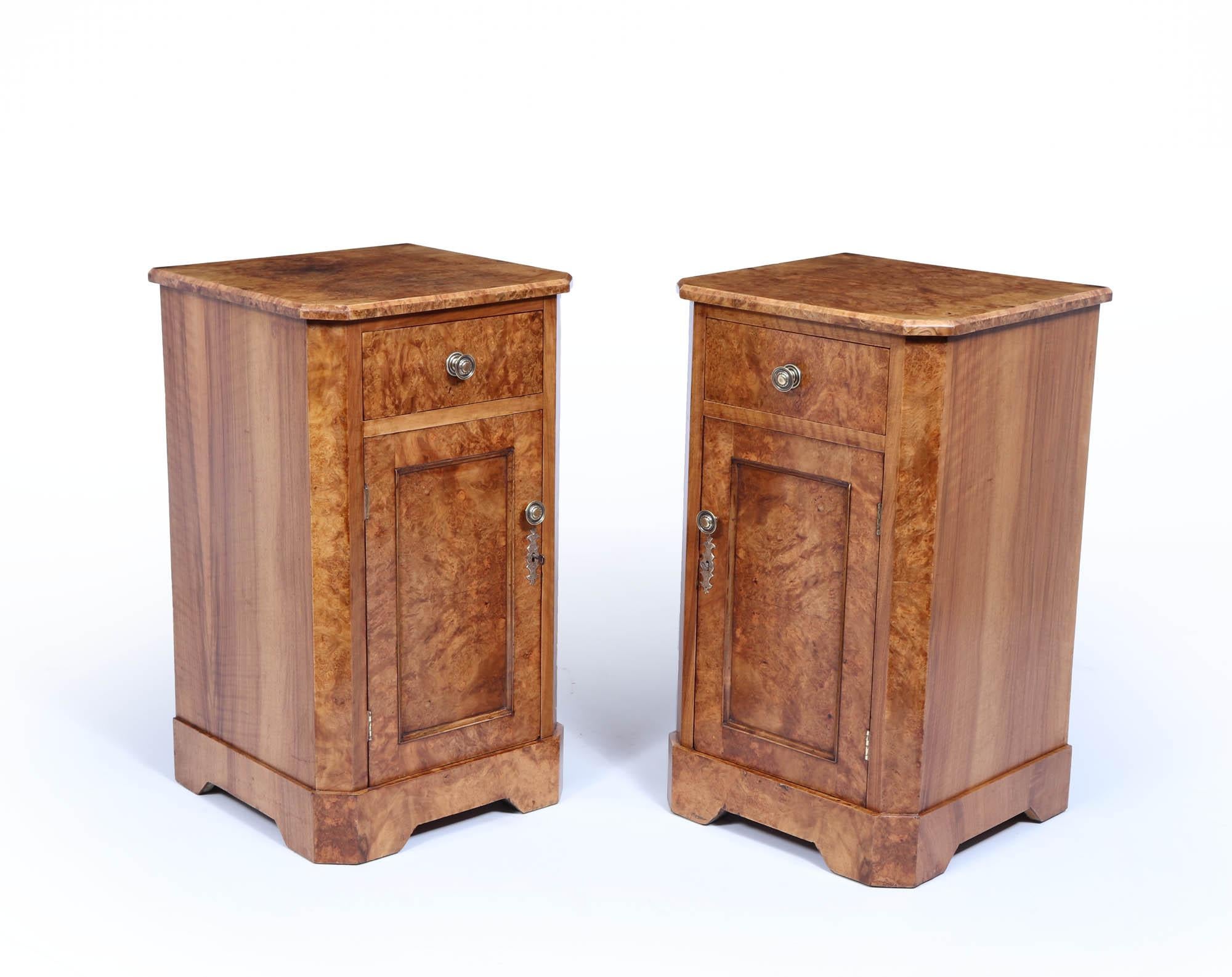 Pair of English Antique Burr Walnut Bedside Cabinets For Sale 8