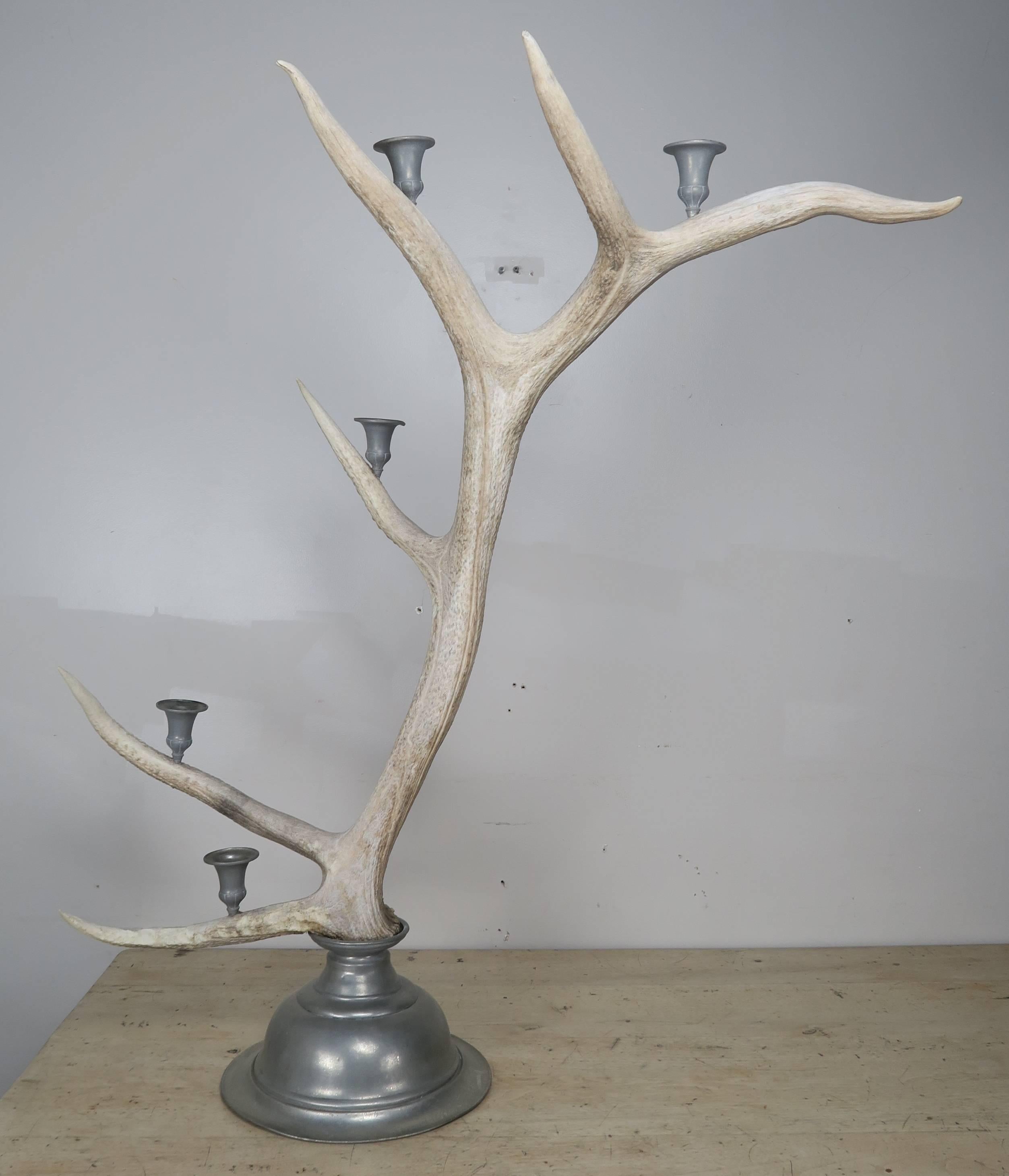 Rustic Pair of English Antler and Pewter Candleholders, circa 1900