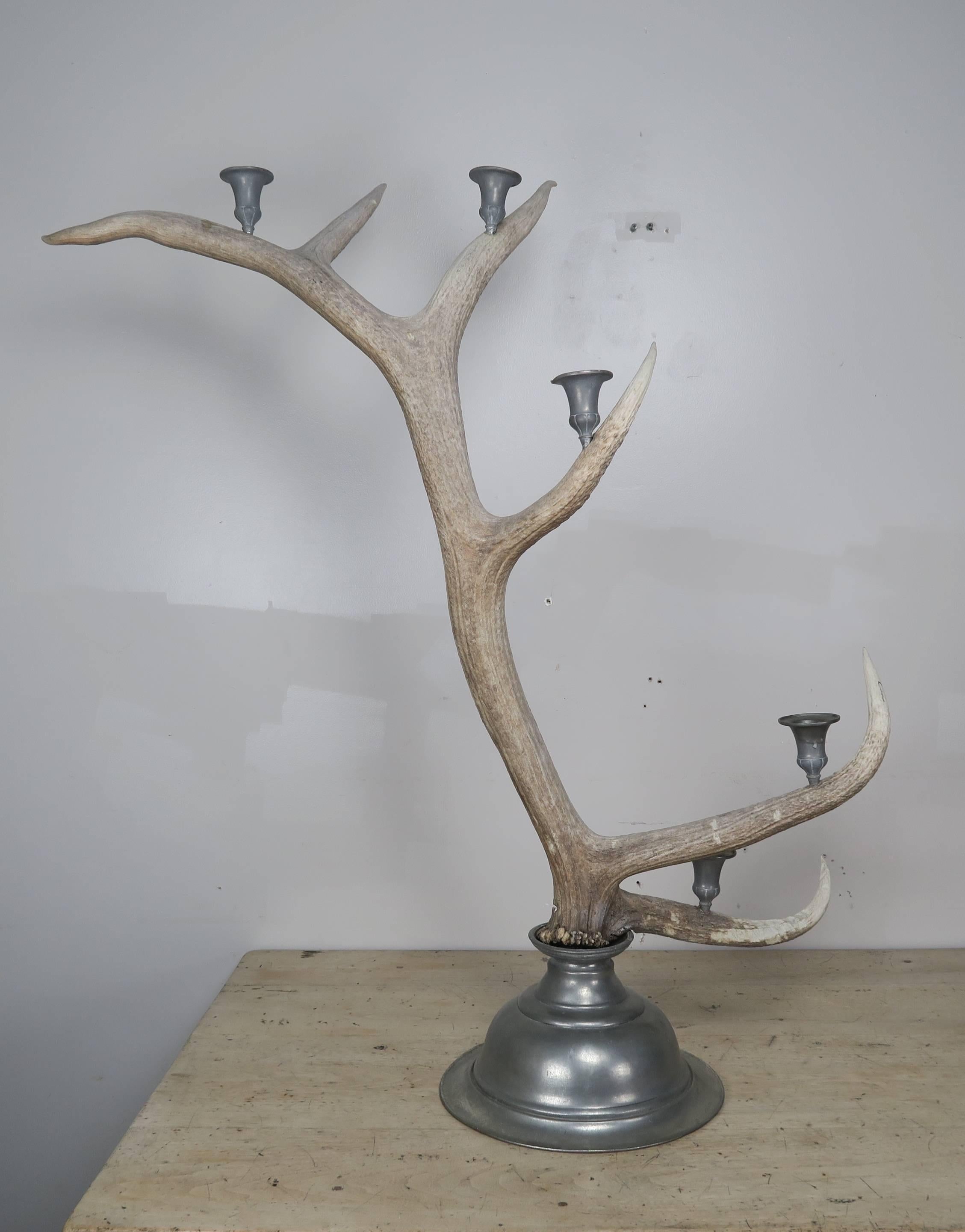 Pair of English Antler and Pewter Candleholders, circa 1900 In Distressed Condition In Los Angeles, CA