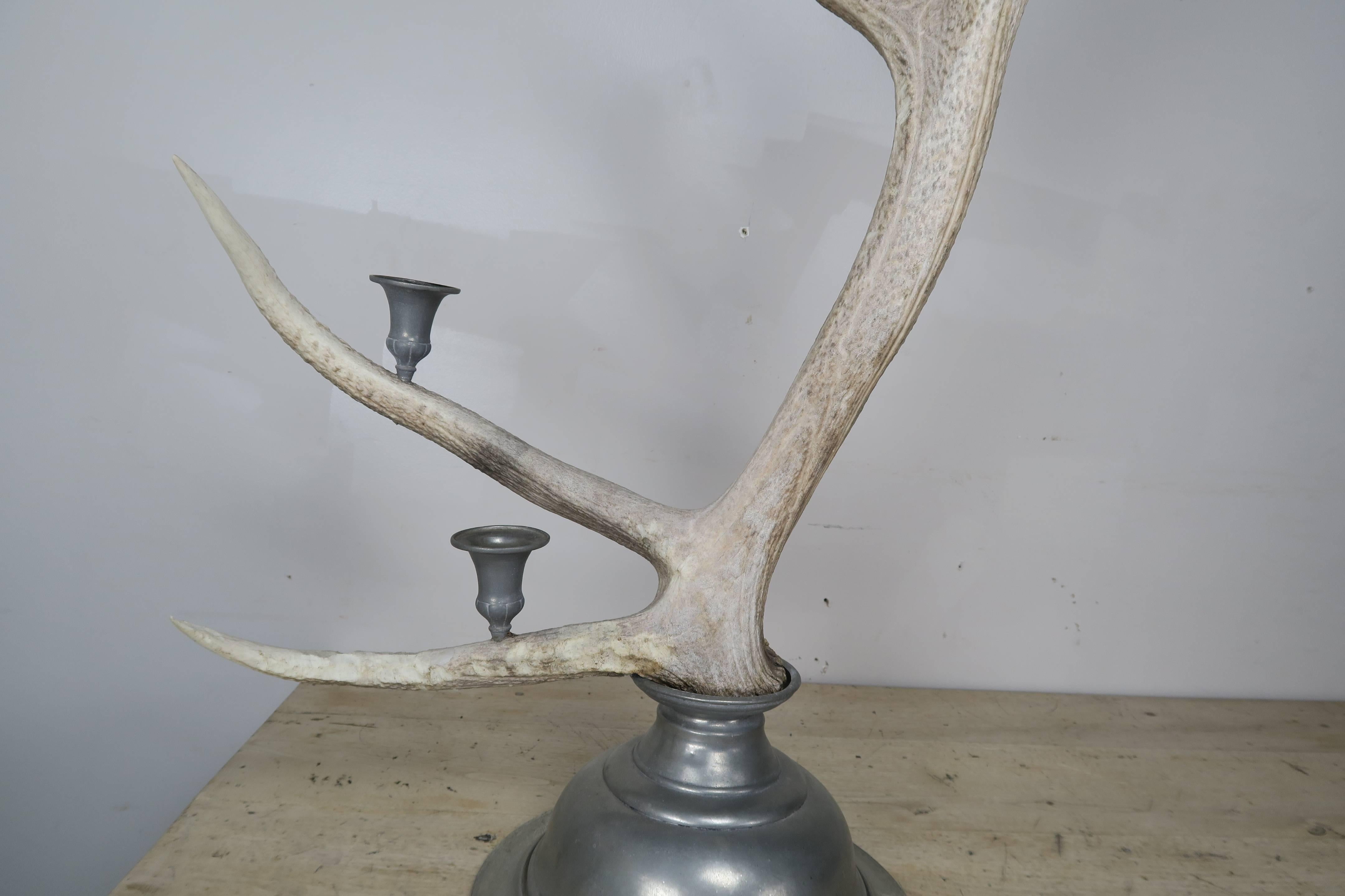 Pair of English Antler and Pewter Candleholders, circa 1900 1